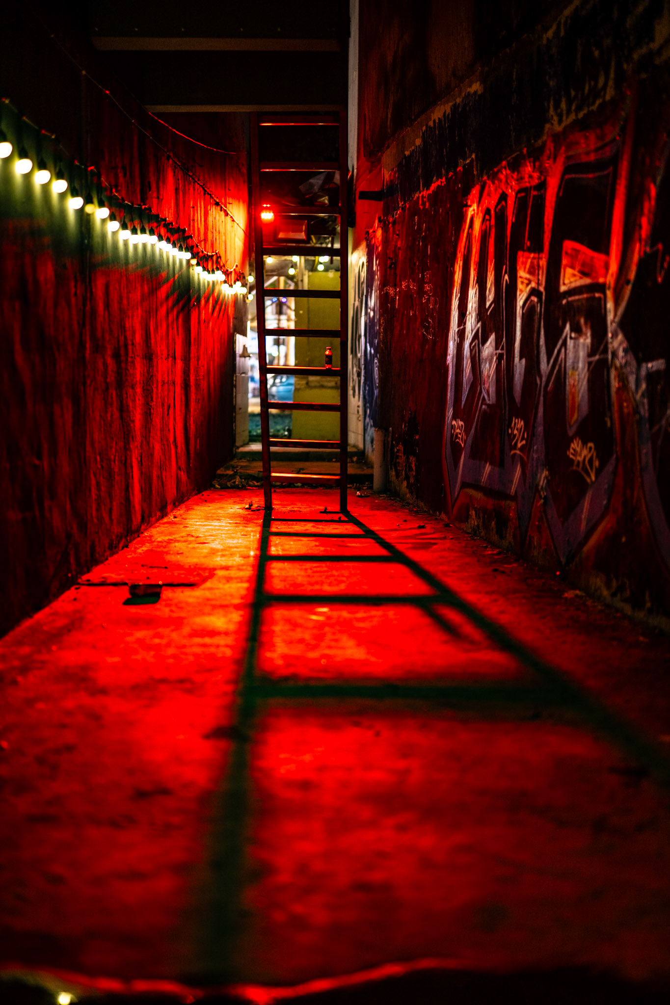 Chiang Mai, Thailand · May 2, 2024 · Nikon Z 9 · Nikkor Z 50mm f/1.2 S · 1/100 sec f/1.3 ISO 360