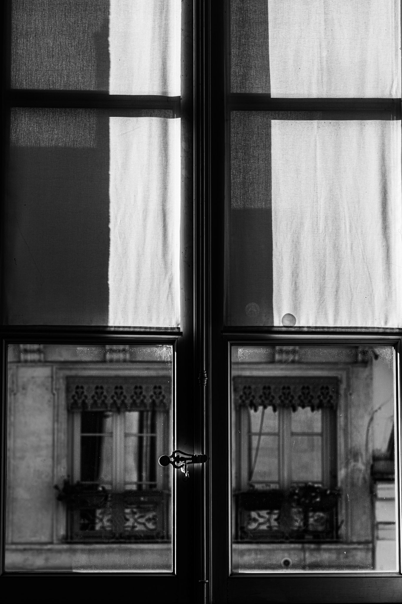 Lyon, France · December 30, 2023 · Nikon Z 9 · Nikkor Z 85mm f/1.2 S · 1/125 sec f/6.3 ISO 64