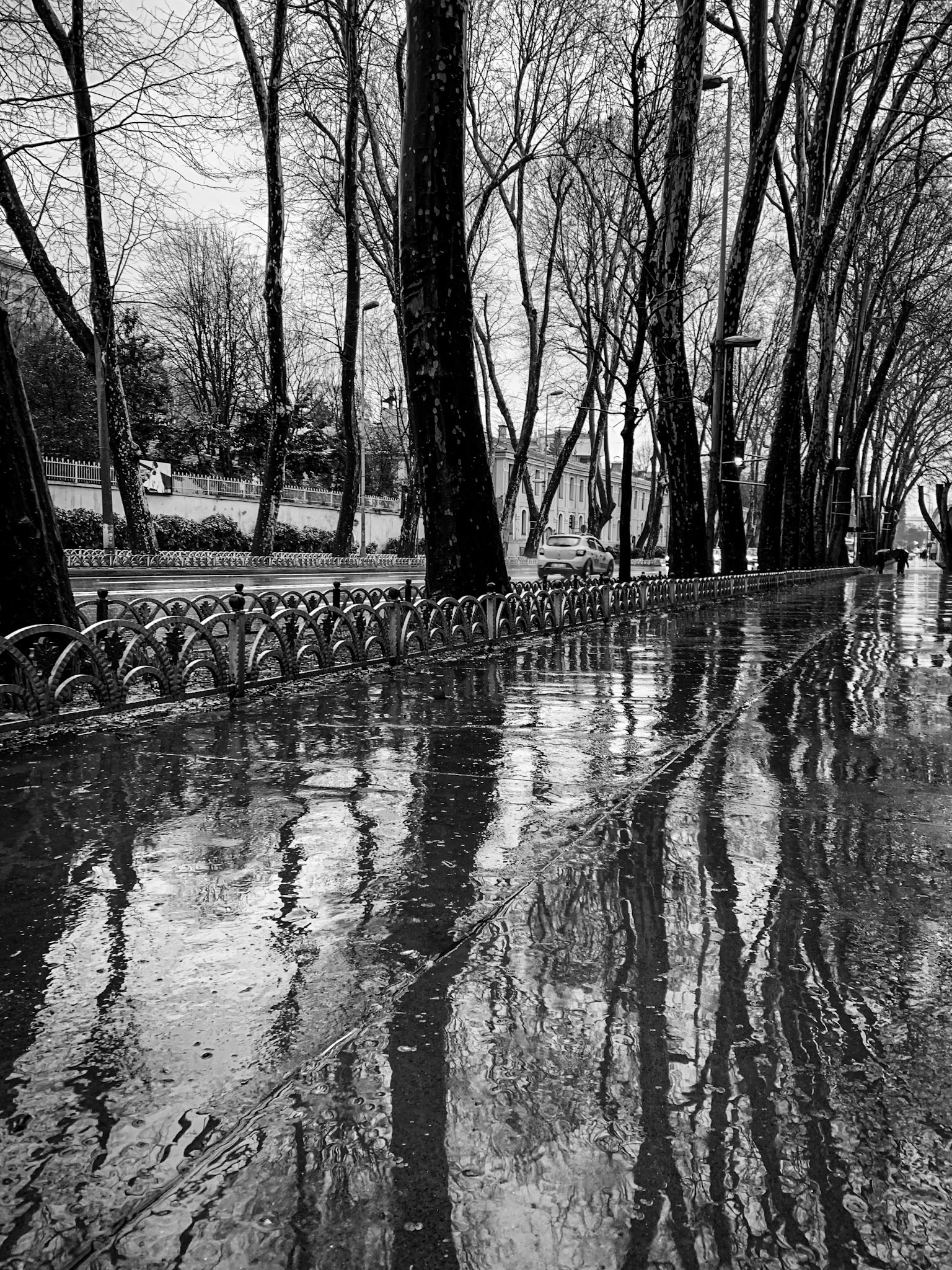 Istanbul, Turkey · February 29, 2020 · Apple iPhone XS Max · iPhone XS Max back dual camera 4.25 mm f/1.8 · 1/90 sec f/1.8 ISO 100