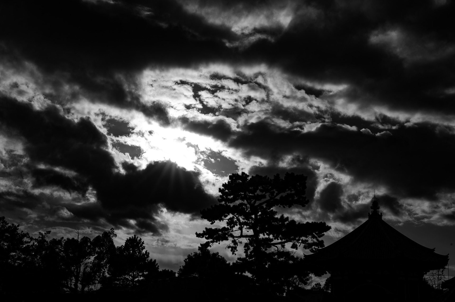 Nara, Japan · February 24, 2025 · Nikon Z 9 · Nikkor Z 50mm f/1.2 S · 1/640 sec f/16 ISO 100