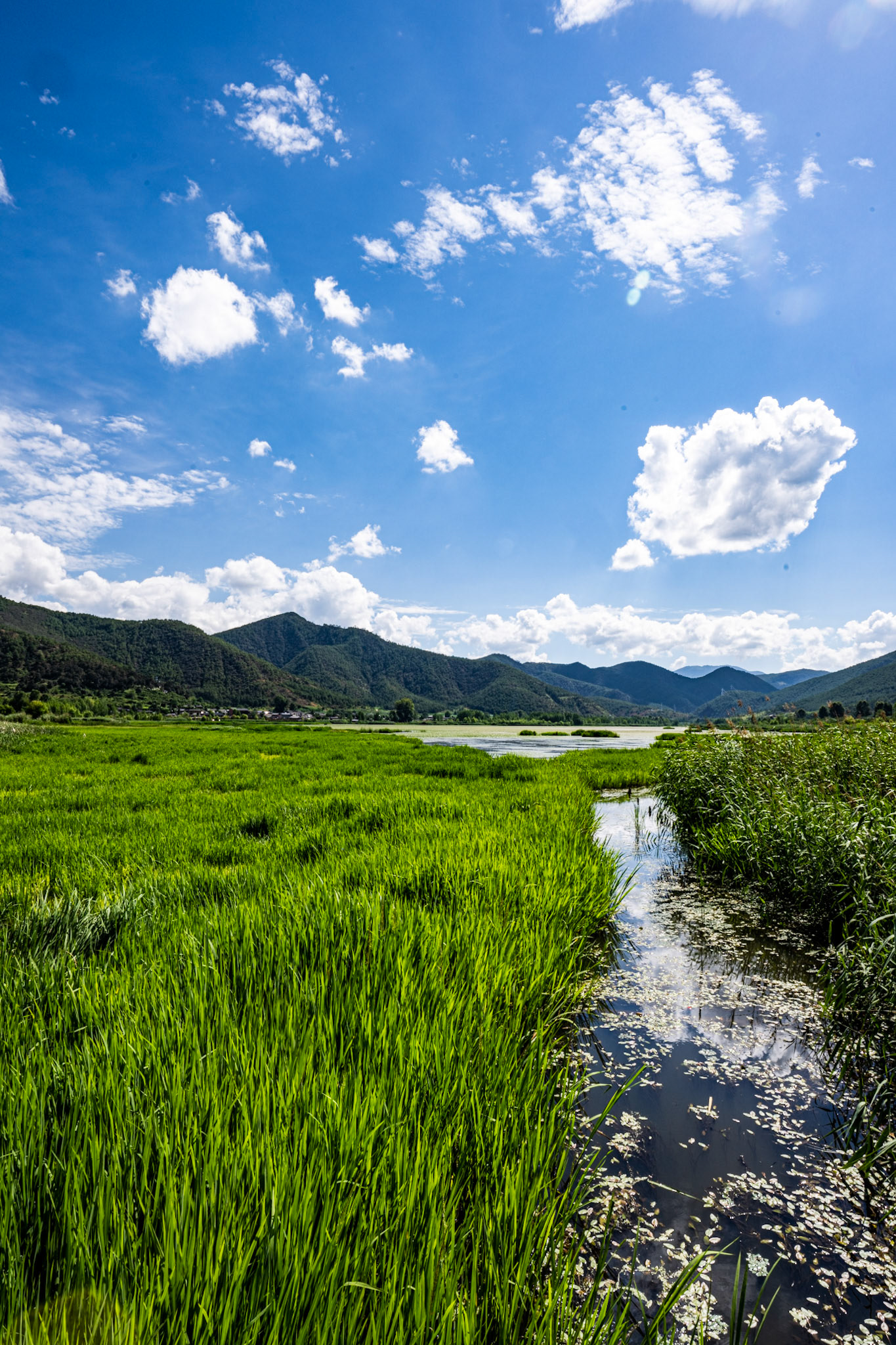 Lijiang, Yunnan Province, China · July 17, 2023 · Nikon Z 9 · Nikkor Z 20 mm f/1.8 S · 1/100 sec f/16 ISO 90