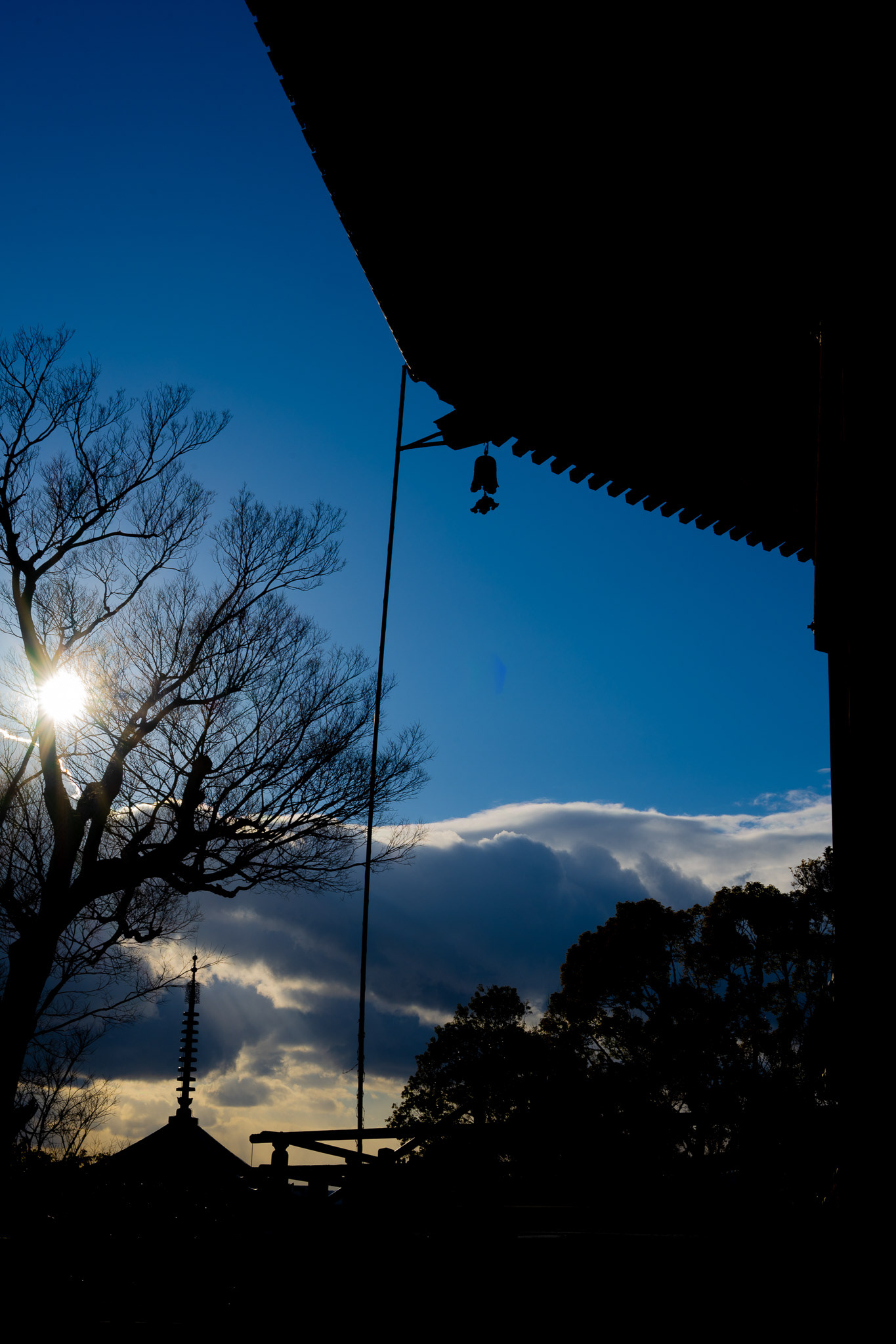 Nara, Japan · February 24, 2025 · Nikon Z 9 · Nikkor Z 50mm f/1.2 S · 1/200 sec f/16 ISO 64