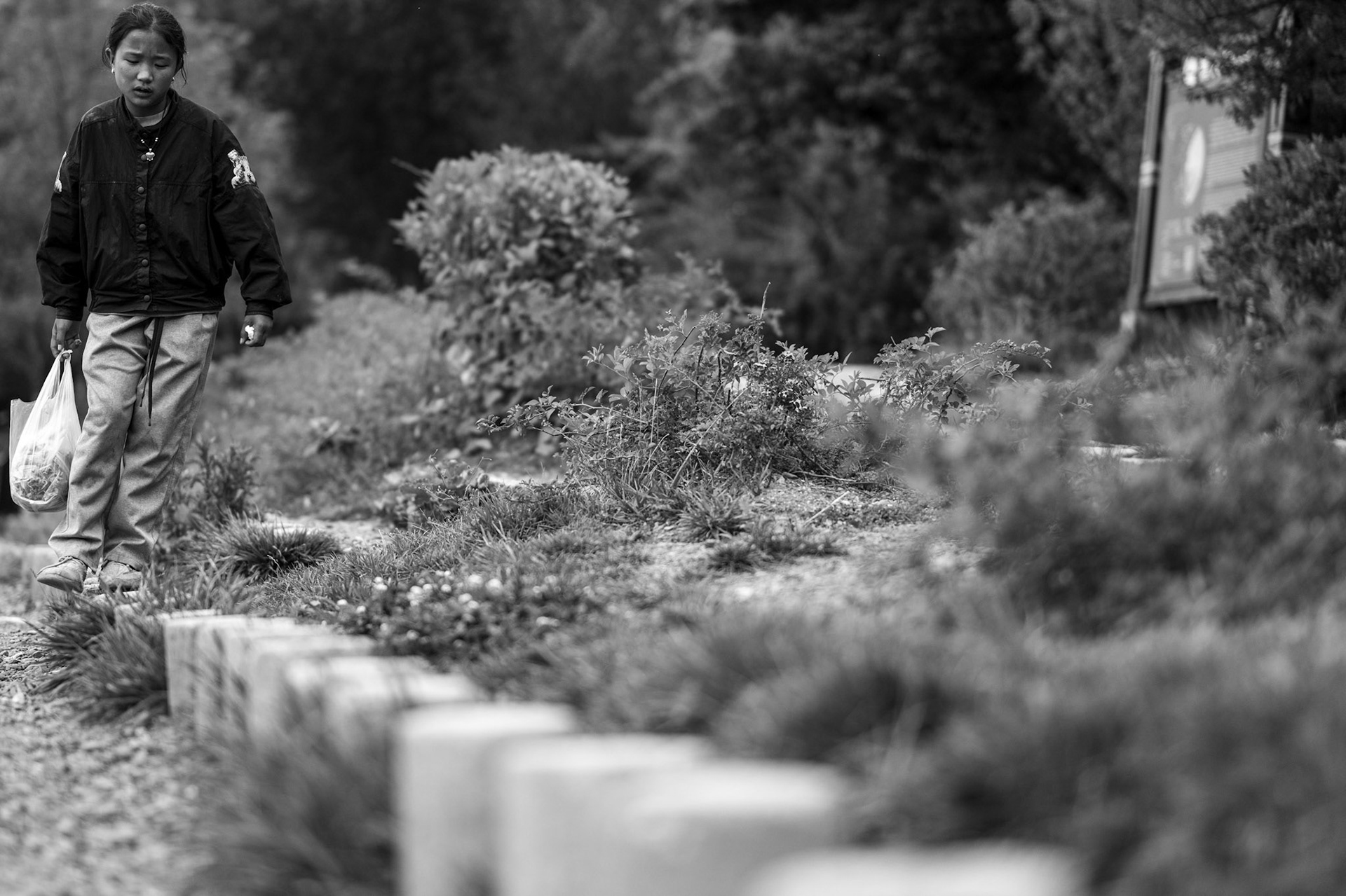 Lijiang, Yunnan Province, China · July 17, 2023 · Nikon Z 9 · Nikkor Z 85 mm f/1.8 S · 1/800 sec f/1.8 ISO 500