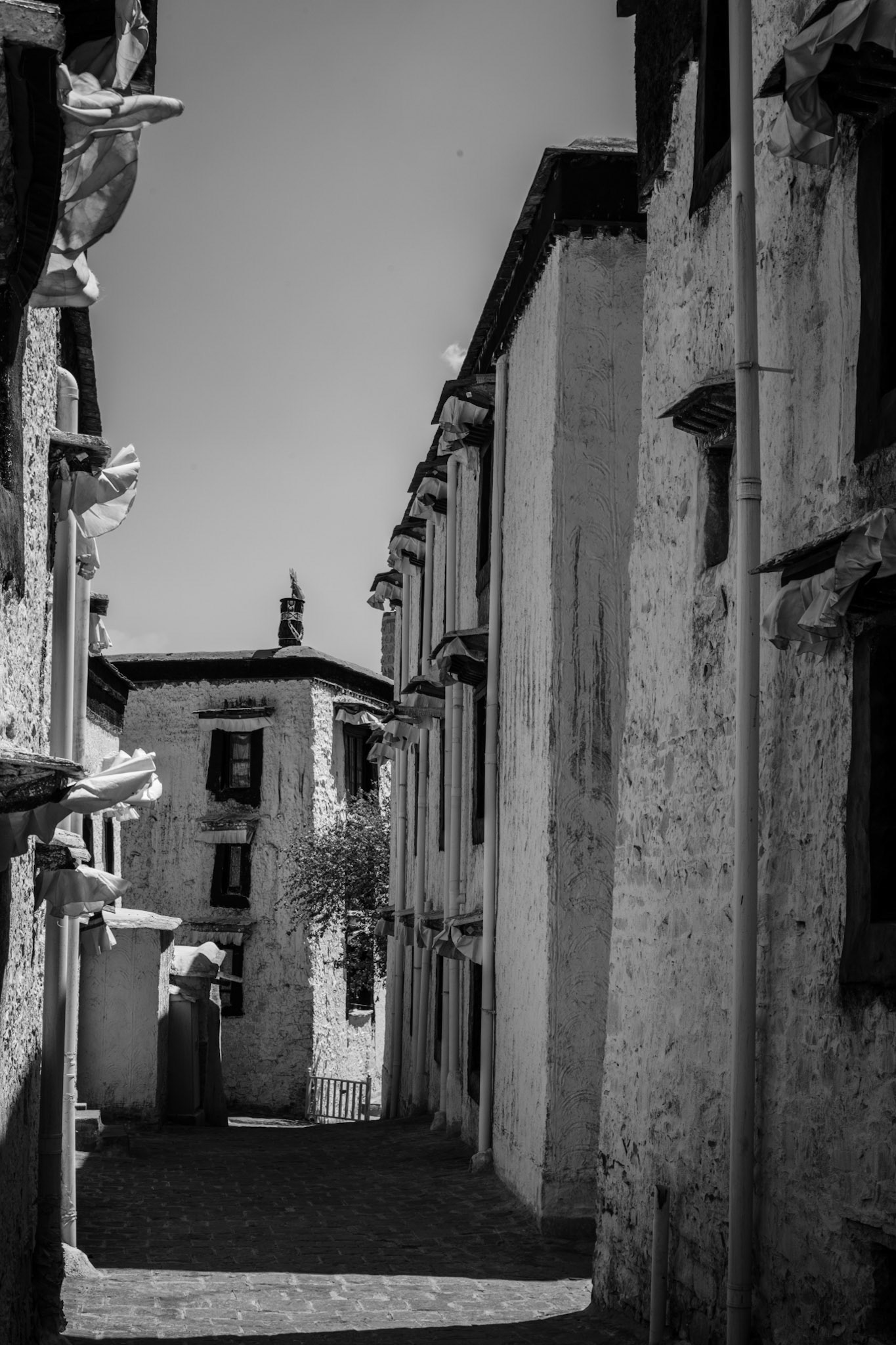Xigazê, Tibet, China · April 28, 2024 · Nikon Z 9 · Nikkor Z 50mm f/1.2 S · 1/250 sec f/16 ISO 200