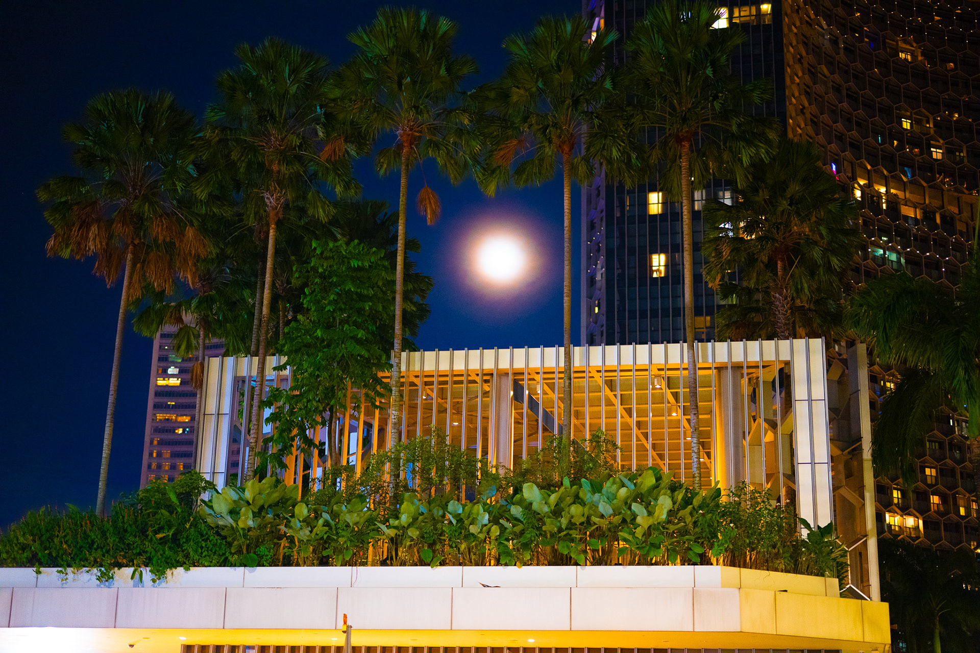 Singapore · May 15, 2025 · Nikon Z 9 · Nikkor Z 50mm f/1.2 S · 1/100 sec f/1.2 ISO 5600