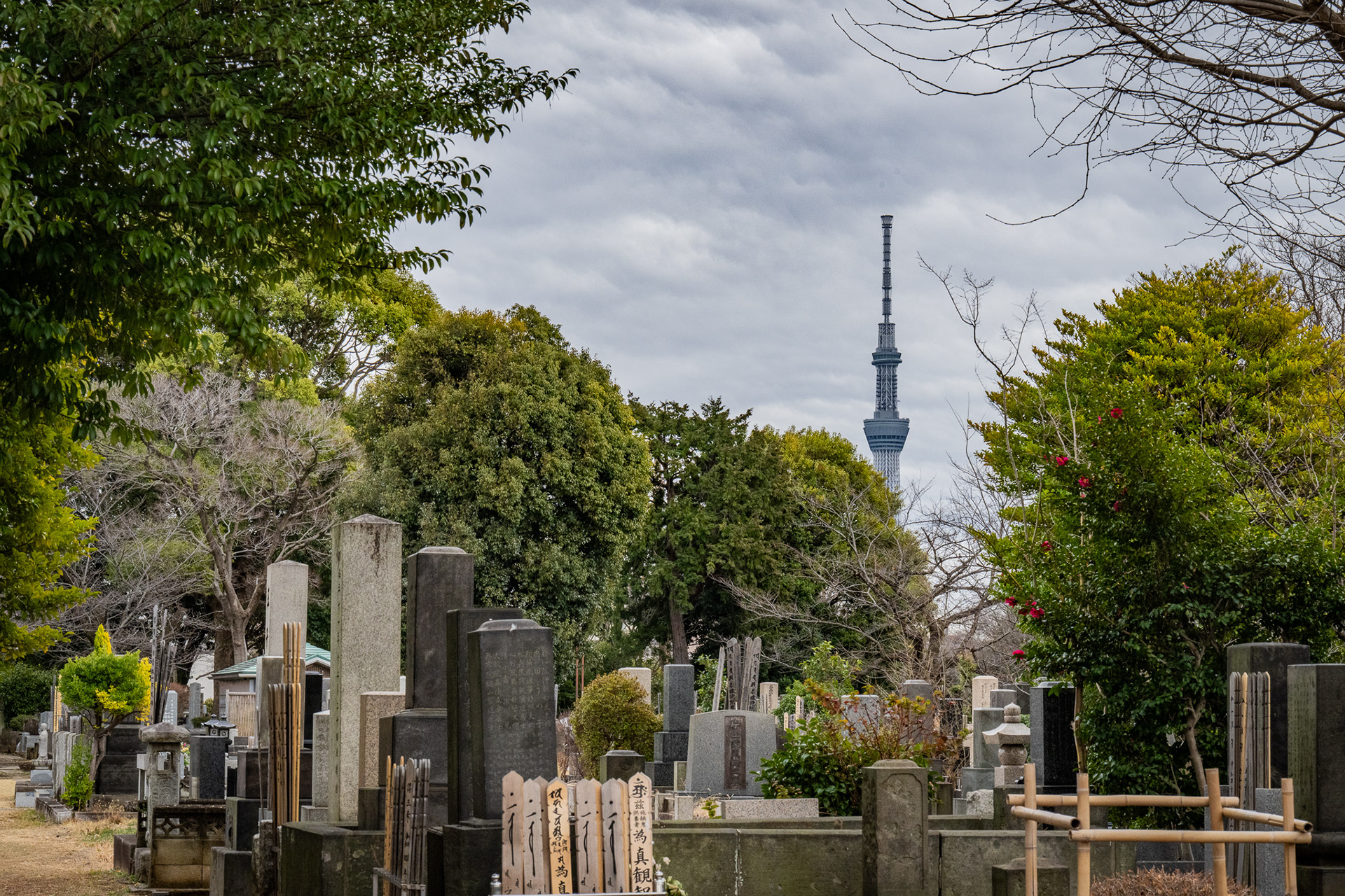 Tokyo, Japan · March 6, 2025 · Nikon Z 9 · Nikkor Z 85mm f/1.2 S · 1/200 sec f/16 ISO 1100