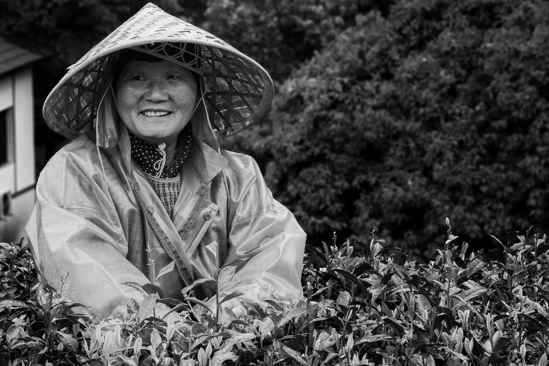 West Lake Longjing, Hangzhou, Zhejiang, China · April 12, 2025 · Nikon Z 9 · Nikkor Z 135mm f/1.8 S Plena · 1/160 sec f/16 ISO 5600