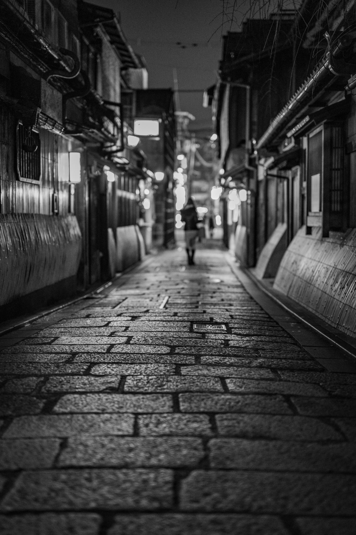 Kyoto, Japan · March 1, 2025 · Nikon Z 9 · Nikkor Z 50mm f/1.2 S · 1/60 sec f/1.4 ISO 3600