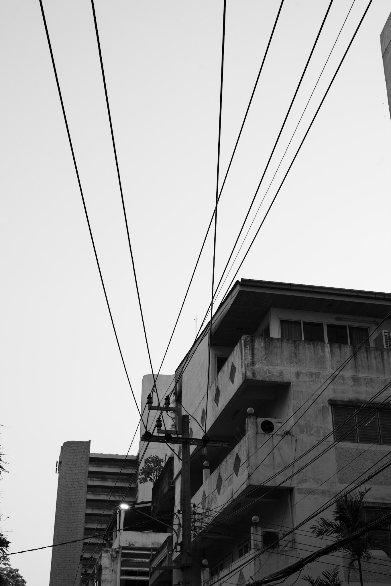 Bangkok, Thailand · February 12, 2024 · Nikon Z 9 · Nikkor Z 50mm f/1.2 S · 1/500 sec/ f/8.0 ISO 900