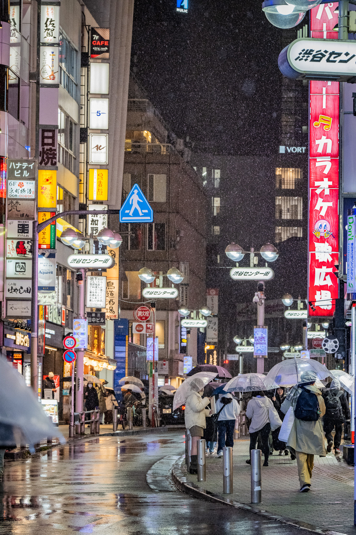 Tokyo, Japan · March 4, 2025 · Nikon Z 9 · Nikkor Z 135mm f/1.8 S Plena · 1/250 sec f/6.3 ISO 4500