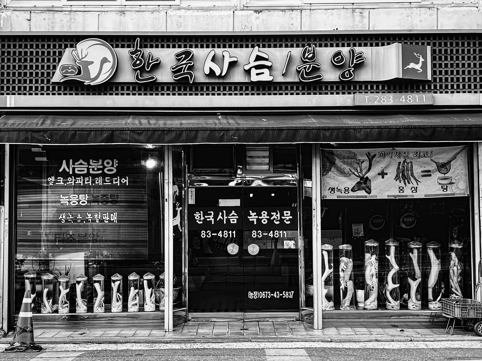 Jeonju, Jeollabuk-do, South Korea · April 10, 2022 · Apple iPhone 13 Pro Max · iPhone 13 Pro Max back triple camera 5.7 mm f/1.5 · 1/150 sec f/1.5 ISO 50