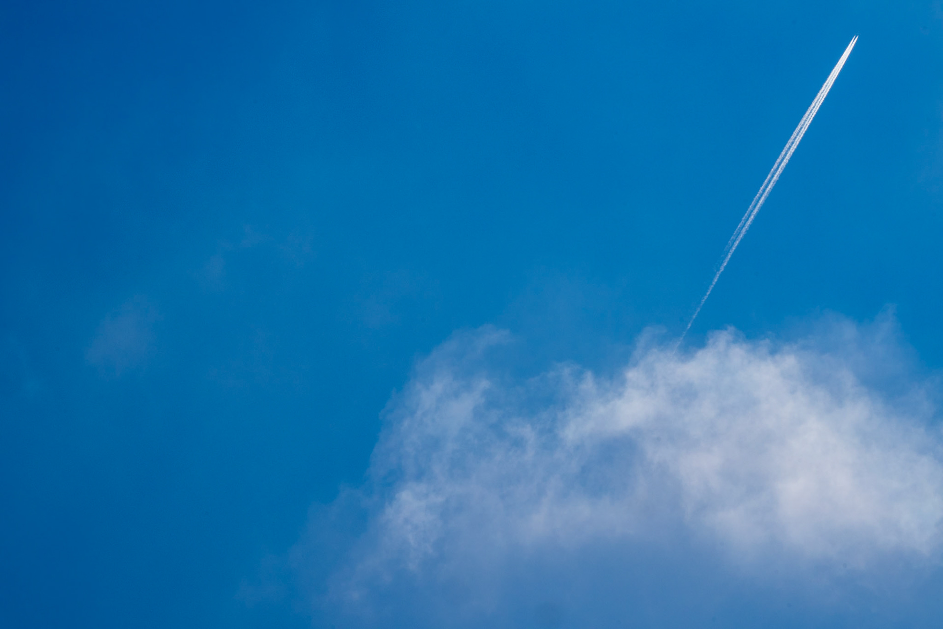 Venice, California, USA · April 20, 2025 · Nikon Z 9 · Nikkor Z 135mm f/1.8 S Plena · 1/1000 sec f/16 ISO 250
