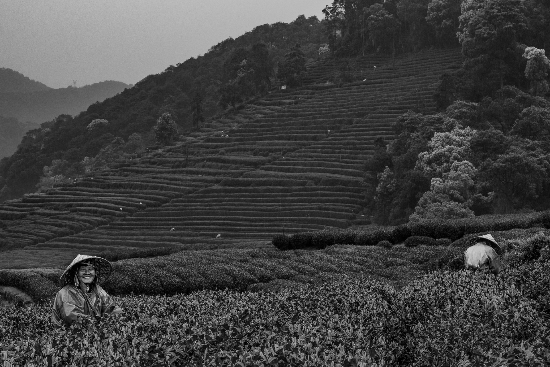 West Lake Longjing, Hangzhou, Zeijang, China · April 12, 2025 · Nikon Z 9 · Nikkor Z 85mm f/1.2 S · 1/125 sec f/16 ISO 1100