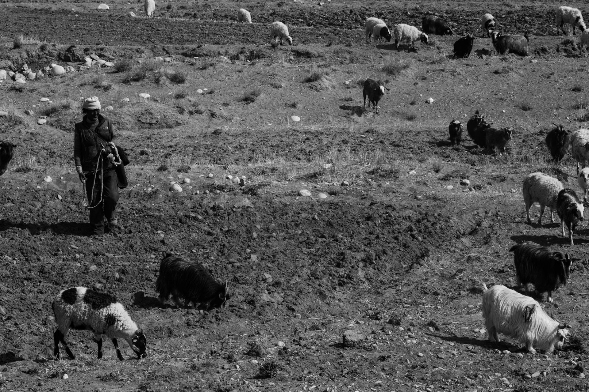 Xigazê, Tibet, China · April 27, 2024 · Nikon Z 9 · Nikkor Z 135mm f/1.8 S Plena · 1/1000 sec f/16 ISO 1400