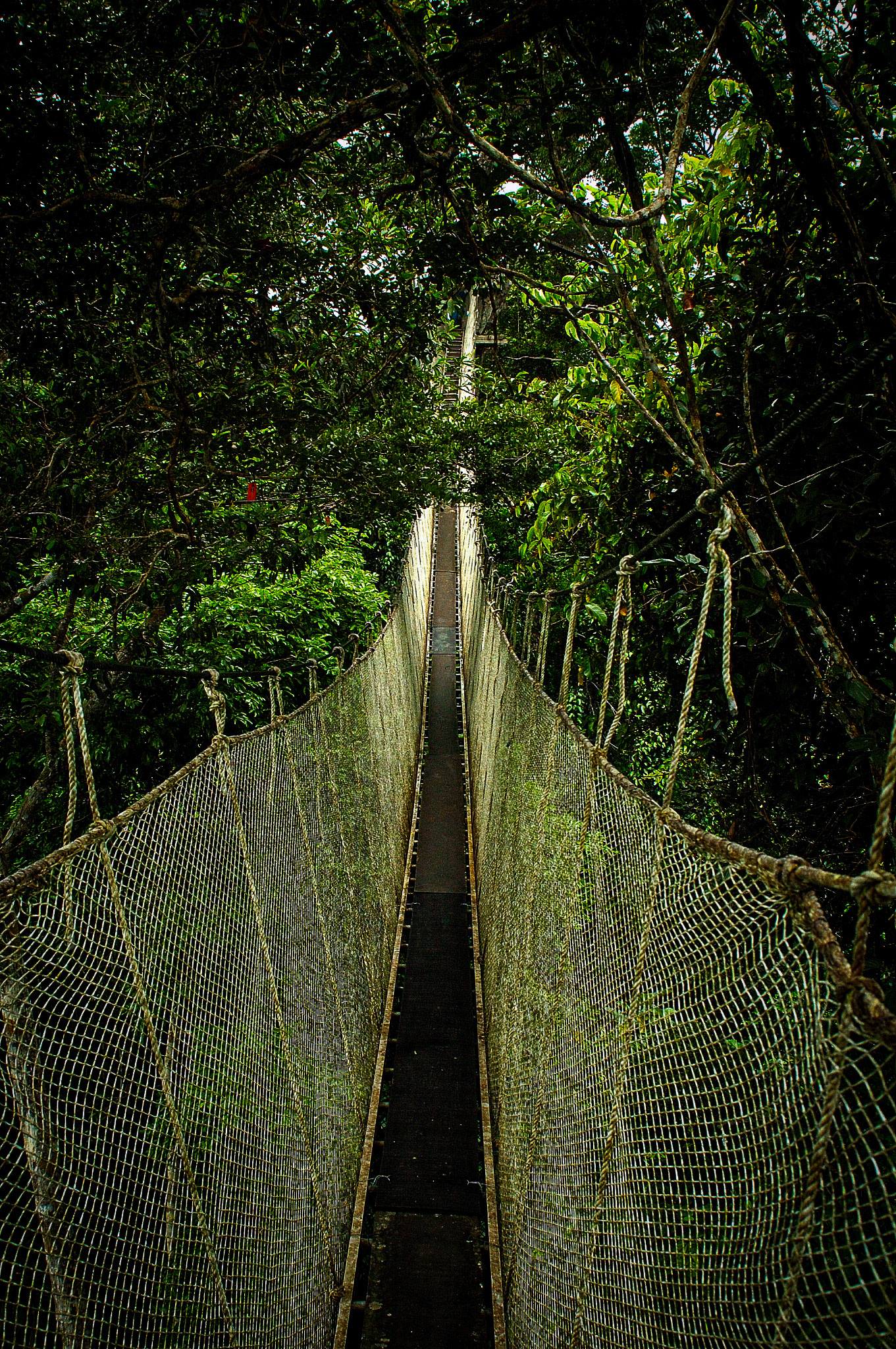 Amazon, Peru · January 6, 2006 · Nikon D70s · 24.0-50.0 mm f/4.0-5.6 · 1/200 sec f/8.0 ISO 800