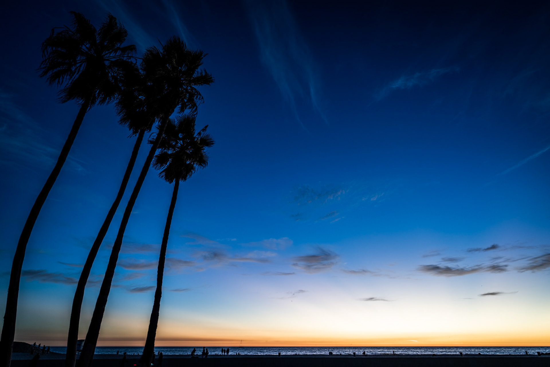 Venice Beach, California, USA · November 11, 2022 · Nikon Z 9 · Nikkor Z 20 mm f/1.8 S · 1/20 sec f/2.8 ISO 100