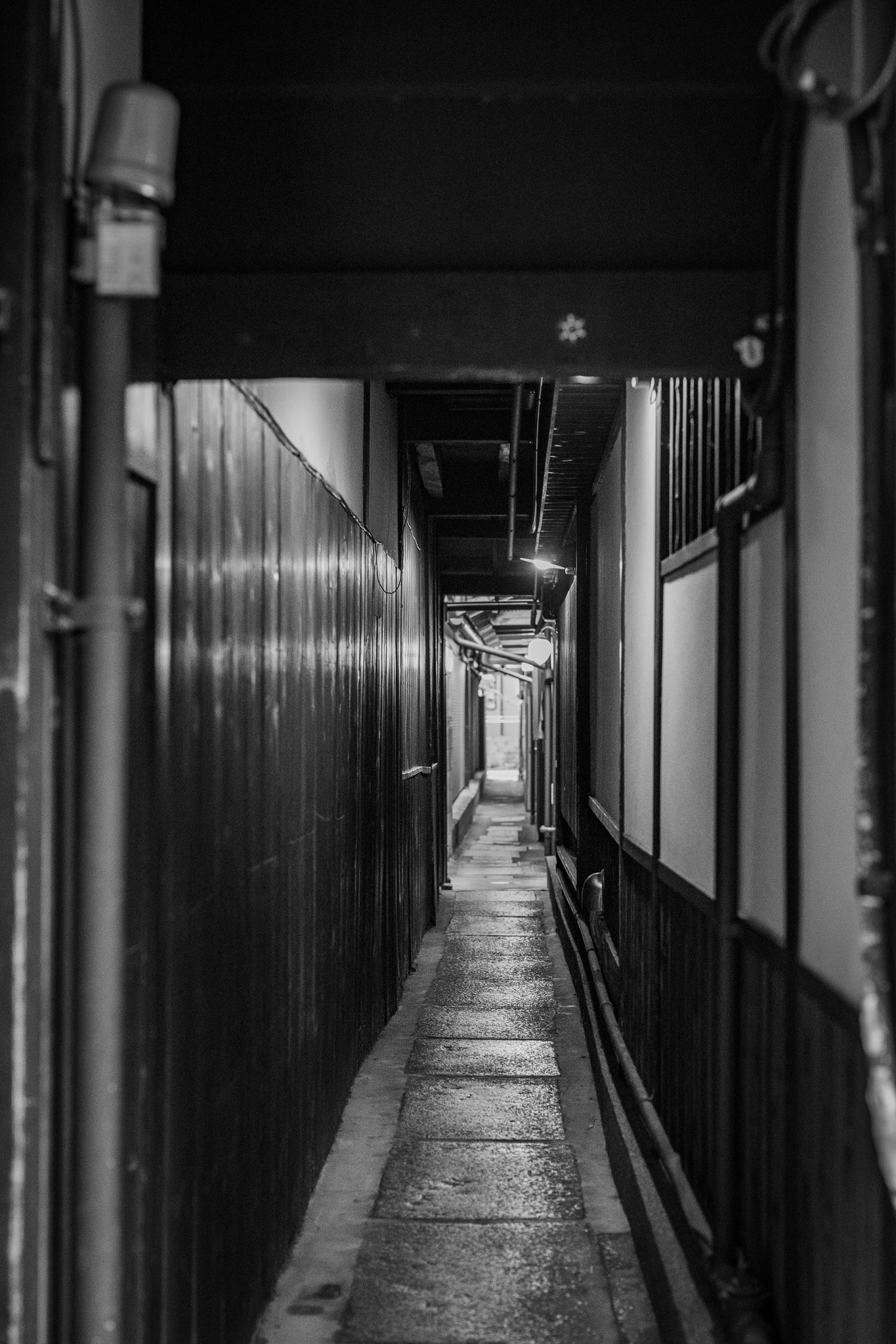 Kyoto, Japan · February 28, 2025 · Nikon Z 9 · Nikkor Z 50mm f/1.2 S · 1/80 sec f/2.8 ISO 4500