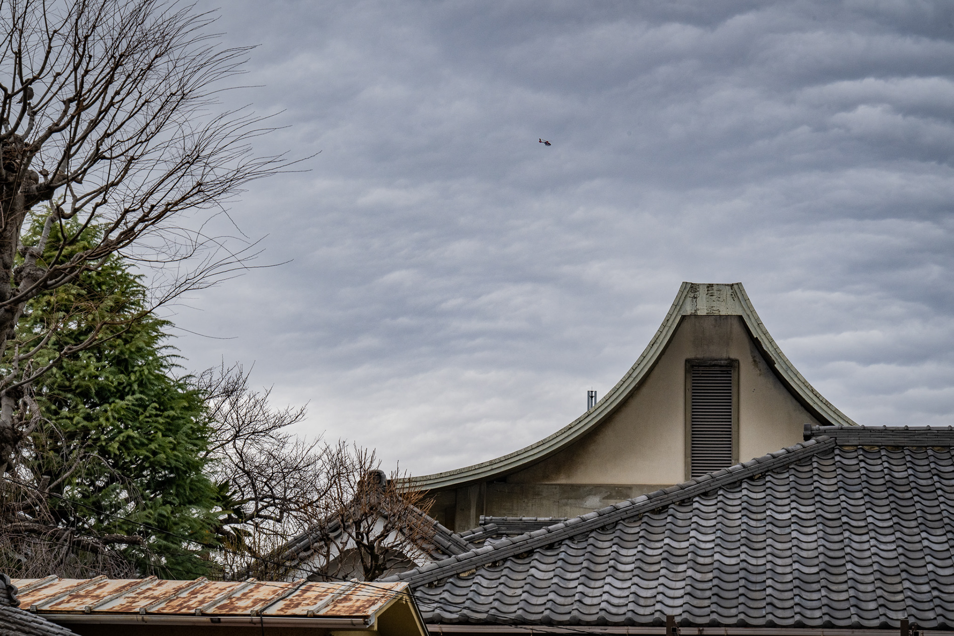 Tokyo, Japan · March 6, 2025 · Nikon Z 9 · Nikkor Z 85mm f/1.2 S · 1/200 sec f/16 ISO 500