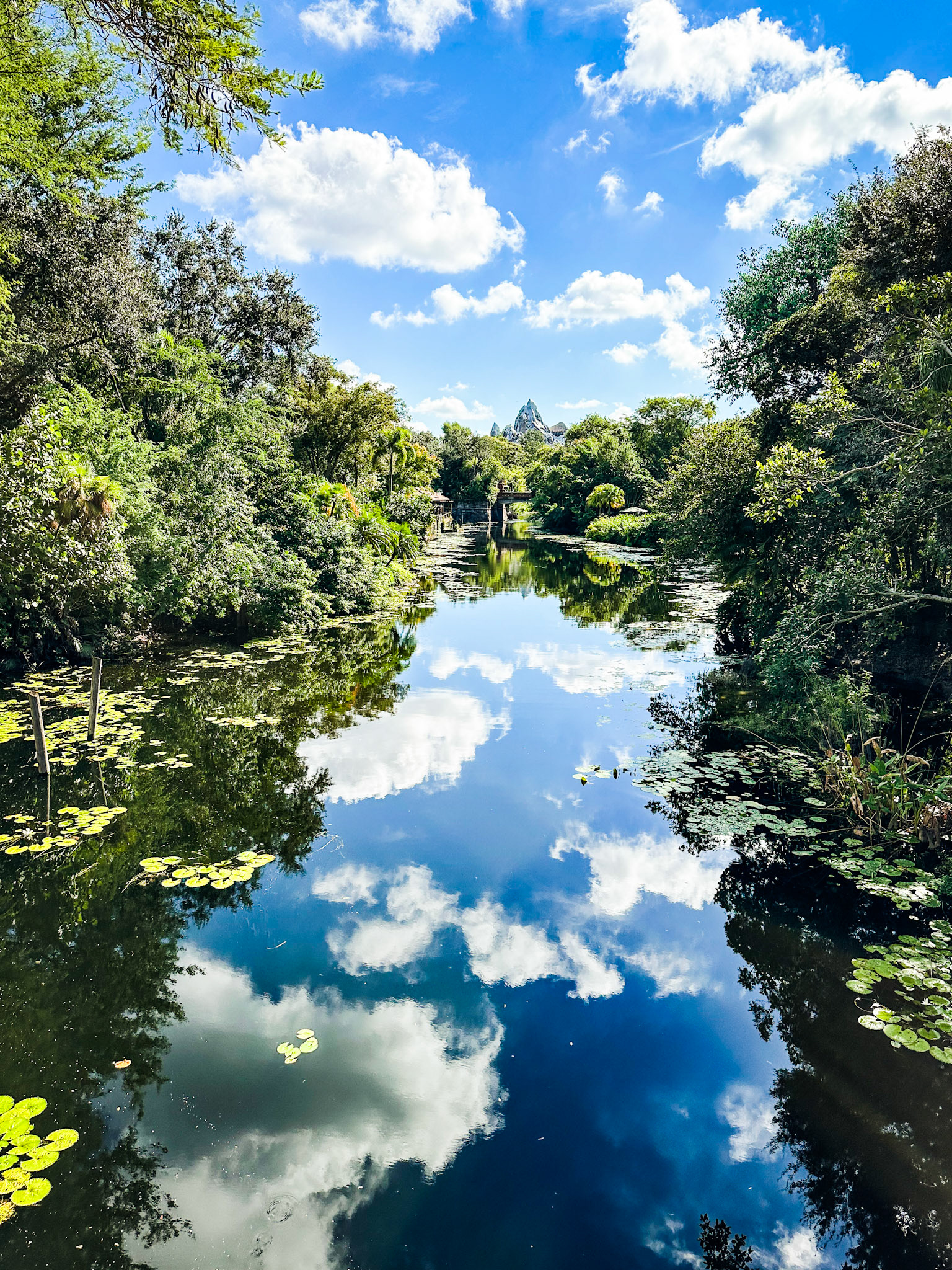 Disney World, Animal Kingdom, Expedition Everest, Orlando, Florida, USA · October 4, 2024 · Apple iPhone 14 Pro Max · iPhone 14 Pro Max back triple camera 6.86mm f/1.8 · 1/4762 sec f/1.8 ISO 80