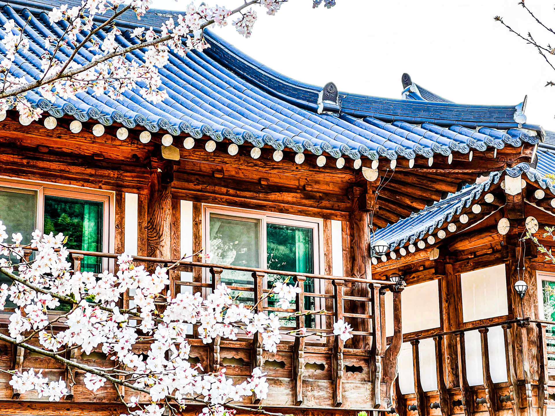 Jeonju, Jeollabuk-do, South Korea · April 9, 2022 · Apple iPhone 13 Pro Max · iPhone 13 Pro Max back triple camera 9 mm f/2.8 · 1/120 sec f/2.8 ISO 32