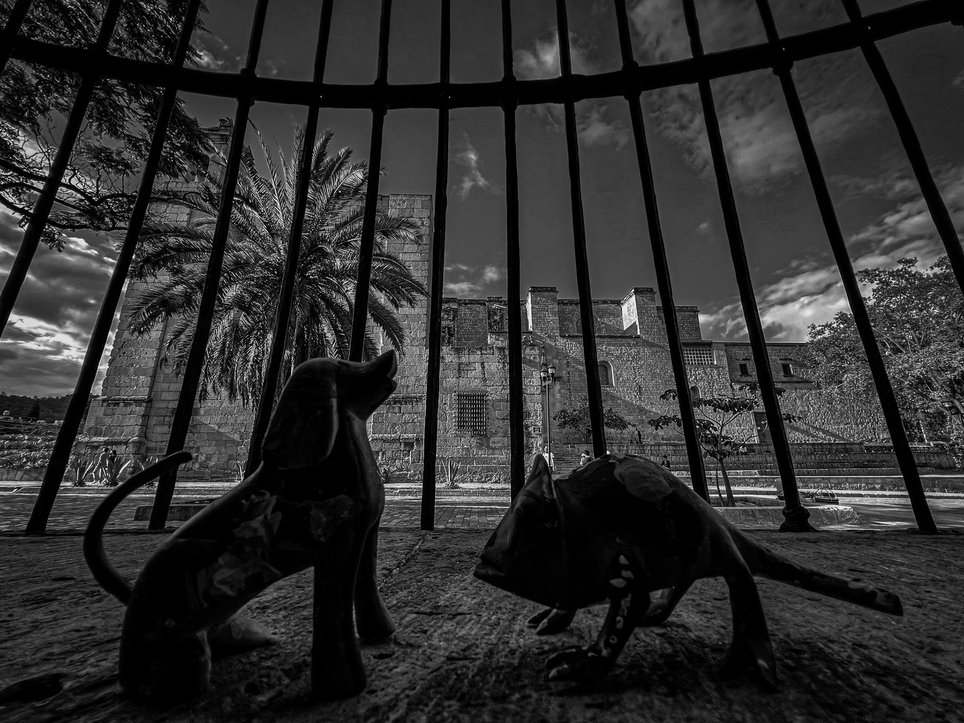 Alebrijes, Oaxaca, Mexico · August 22, 2022 · Apple iPhone 13 Pro Max · iPhone 13 Pro Max back triple camera 1.57 mm f/1.8 · 1/450 sec f/1.8 ISO 32