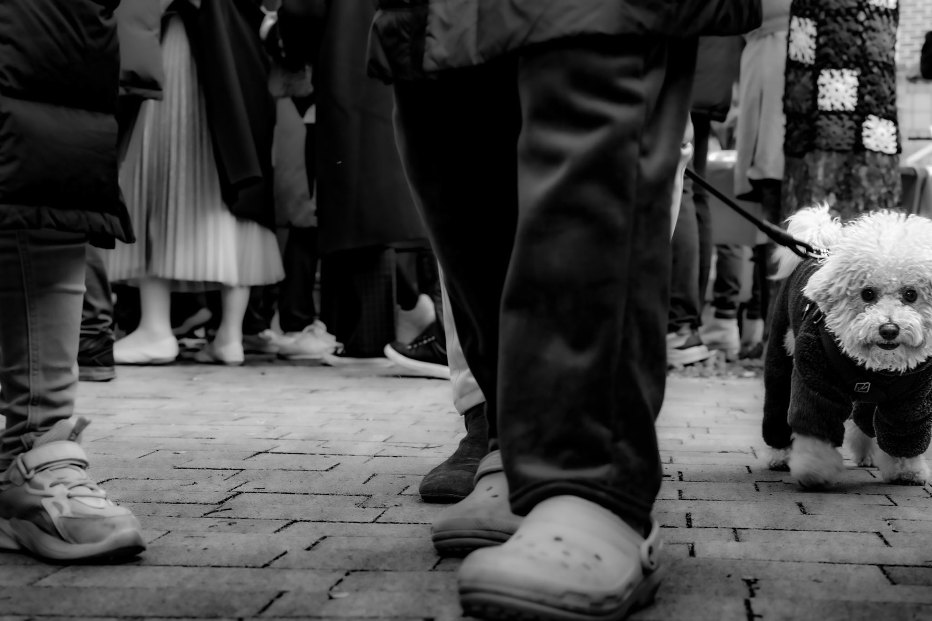 Seoul, South Korea · December 3, 2022 · Nikon Z 9 · Nikkor Z 85 mm f/1.8 S · 1/100 sec f/13 ISO 1100