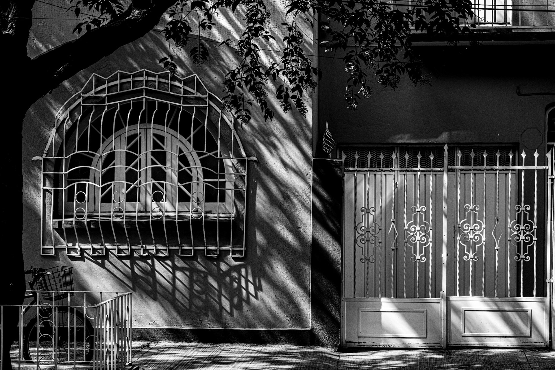 Mexico City, Mexico · August 27, 2022 · Nikon Z 9 · Nikkor Z 85 mm f/1.8 S · 1/200 sec f/16 ISO 2000