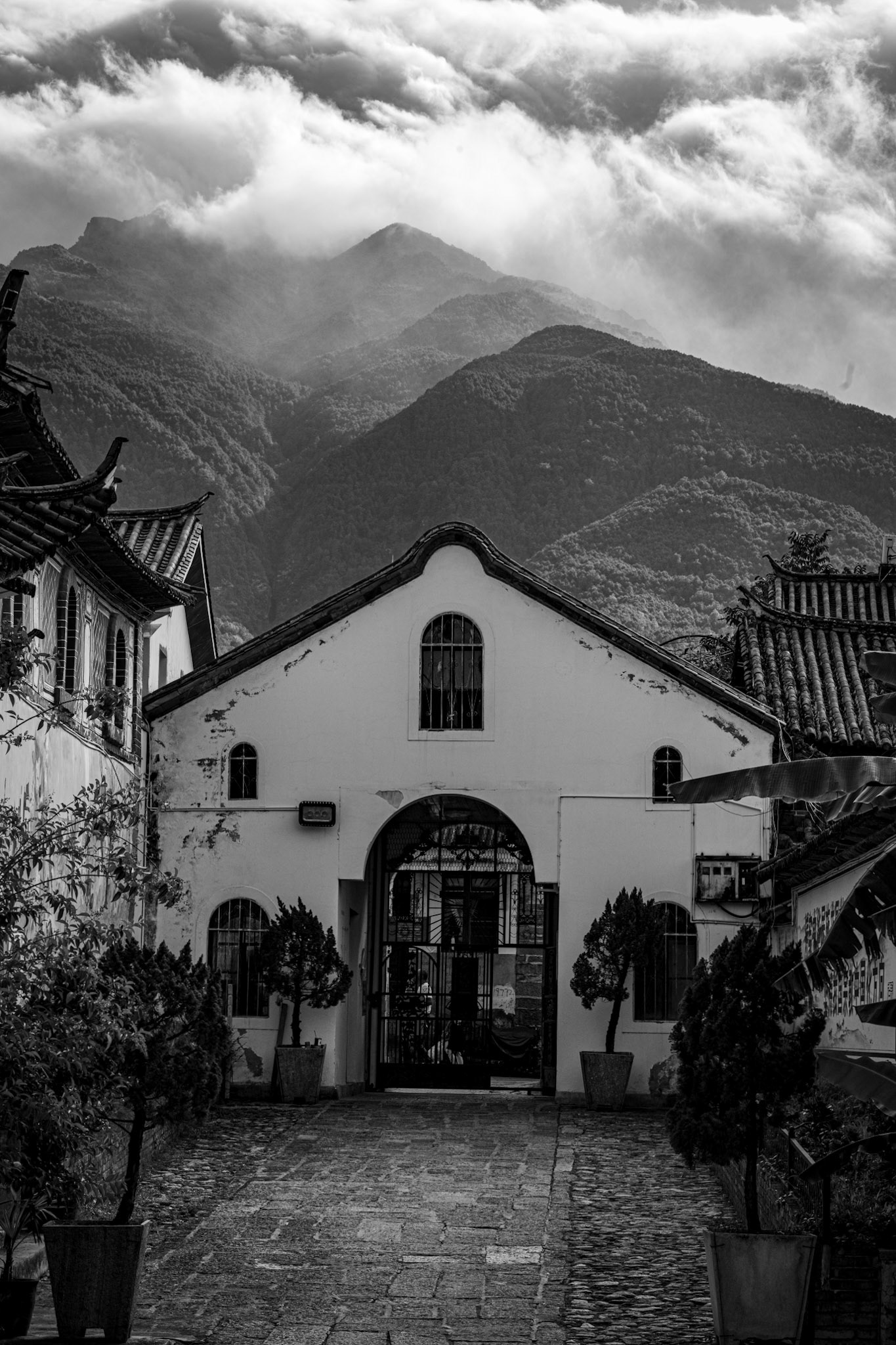 Dali, Yunnan Province, China · July 13, 2023 · Nikon Z 9 · Nikkor Z 85 mm f/1.8 S · 1/250 sec f/16 ISO 450