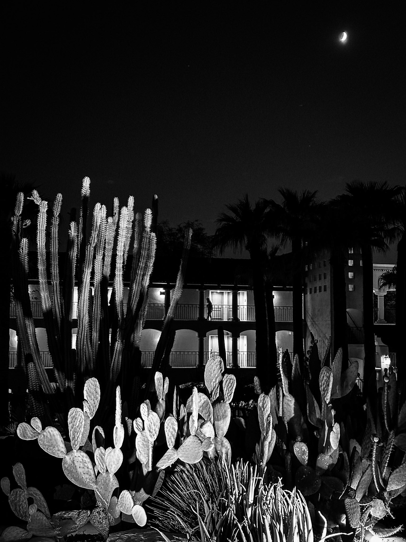 Fairmont Scottsdale Princess, Scottsdale, Arizona · October 8, 2024 · Apple iPhone 14 Pro Max · iPhone 14 Pro Max back triple camera 6.86mm f/1.8 · 1/24 sec f/1.8 ISO 640