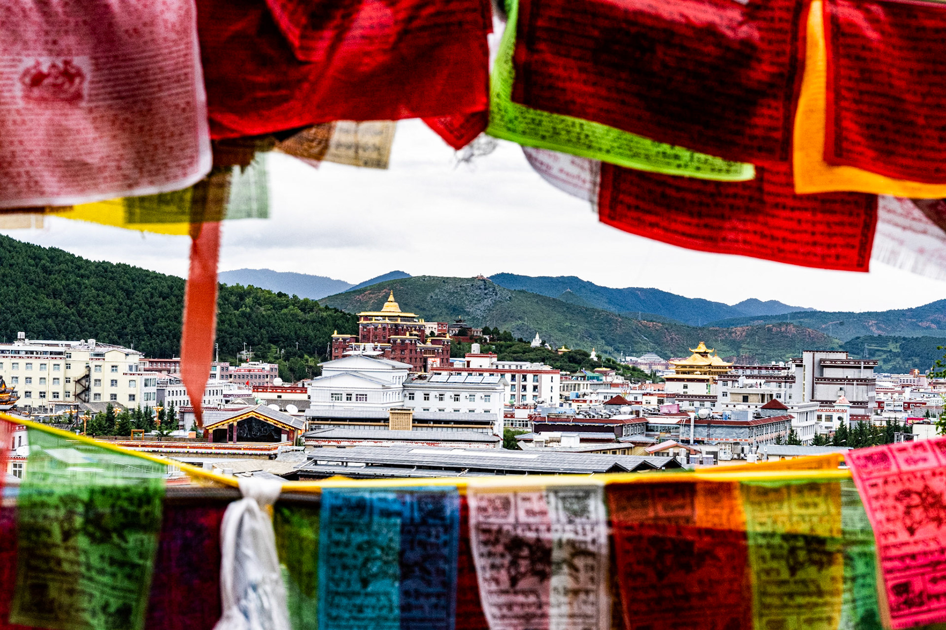 Shangri-La, Yunnan Province, China · July 15, 2023 · Nikon Z 9 · Nikkor Z 85 mm f/1.8 S · 1/80 sec f/16 ISO 2200