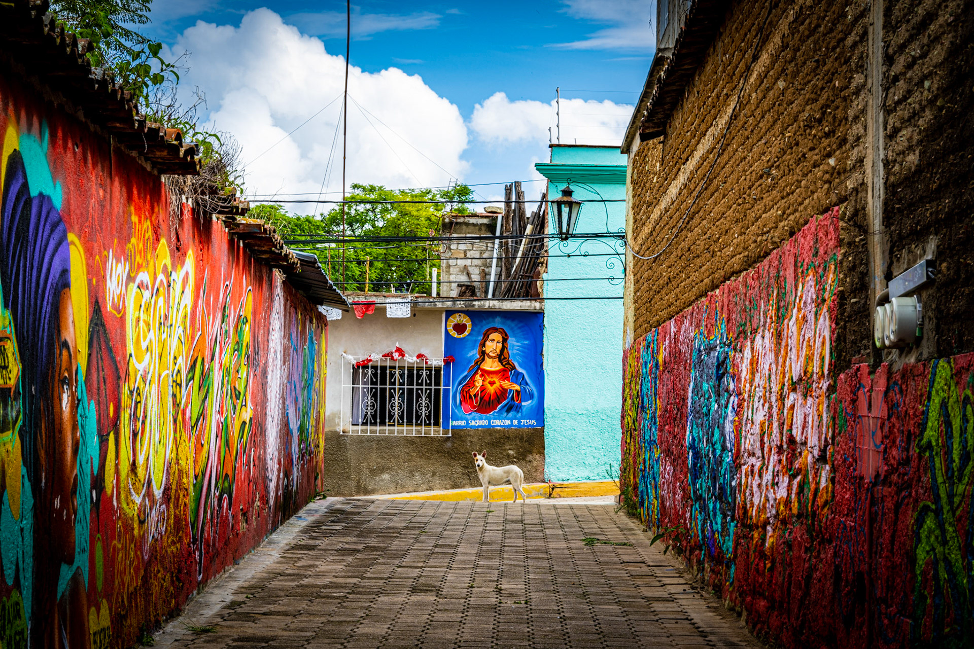 Villa de Etla, Oaxaca, Mexico · August 16, 2022 · Nikon Z 9 · Nikkor Z 85 mm f/1.8 S · 1/100 sec f/16 ISO 160