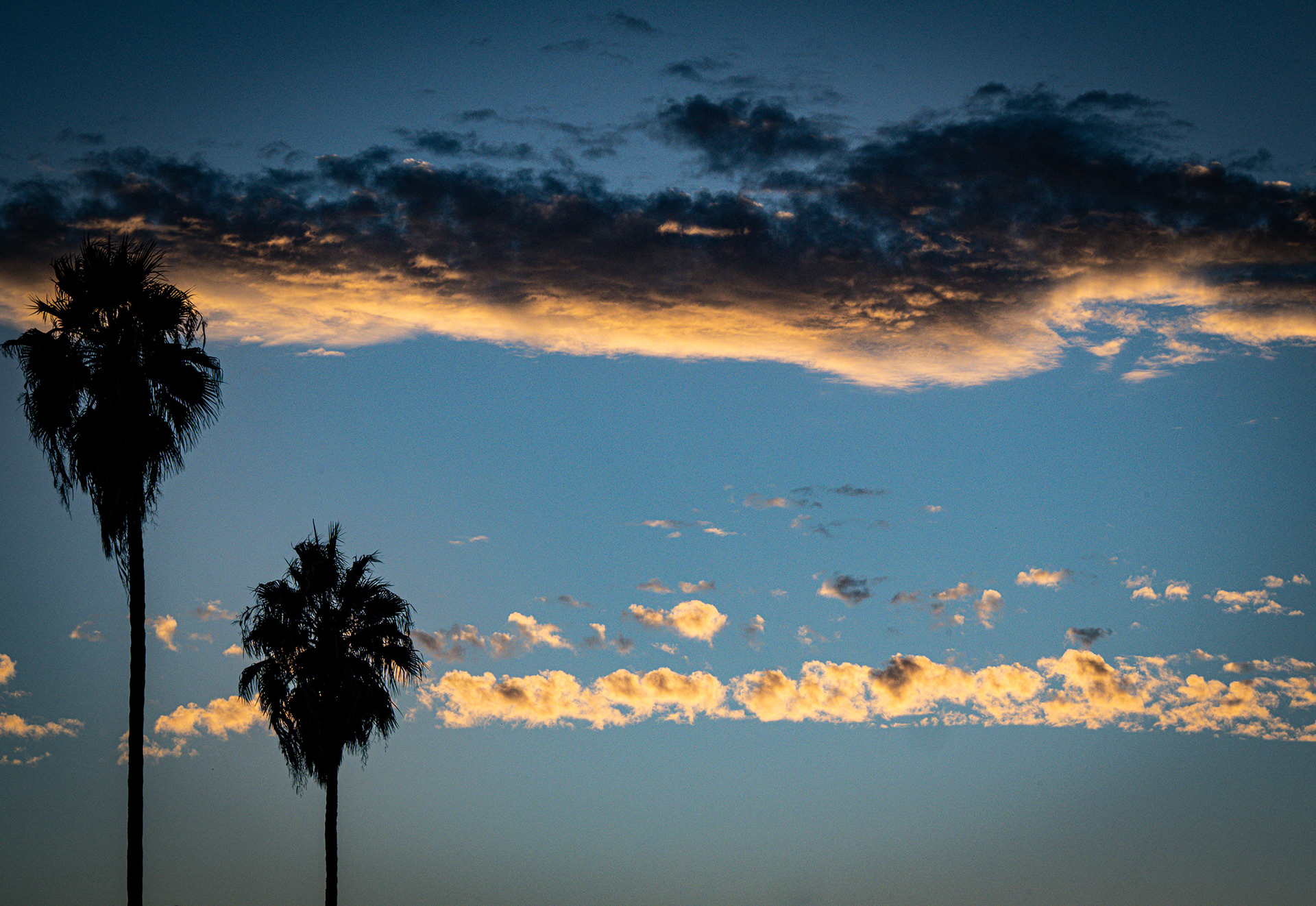 Los Angeles, California · October 2, 2025 · Nikon Z 9 · Nikkor Z 135mm f/1.8 S Plena · 1/800 sec f/16 ISO 1000