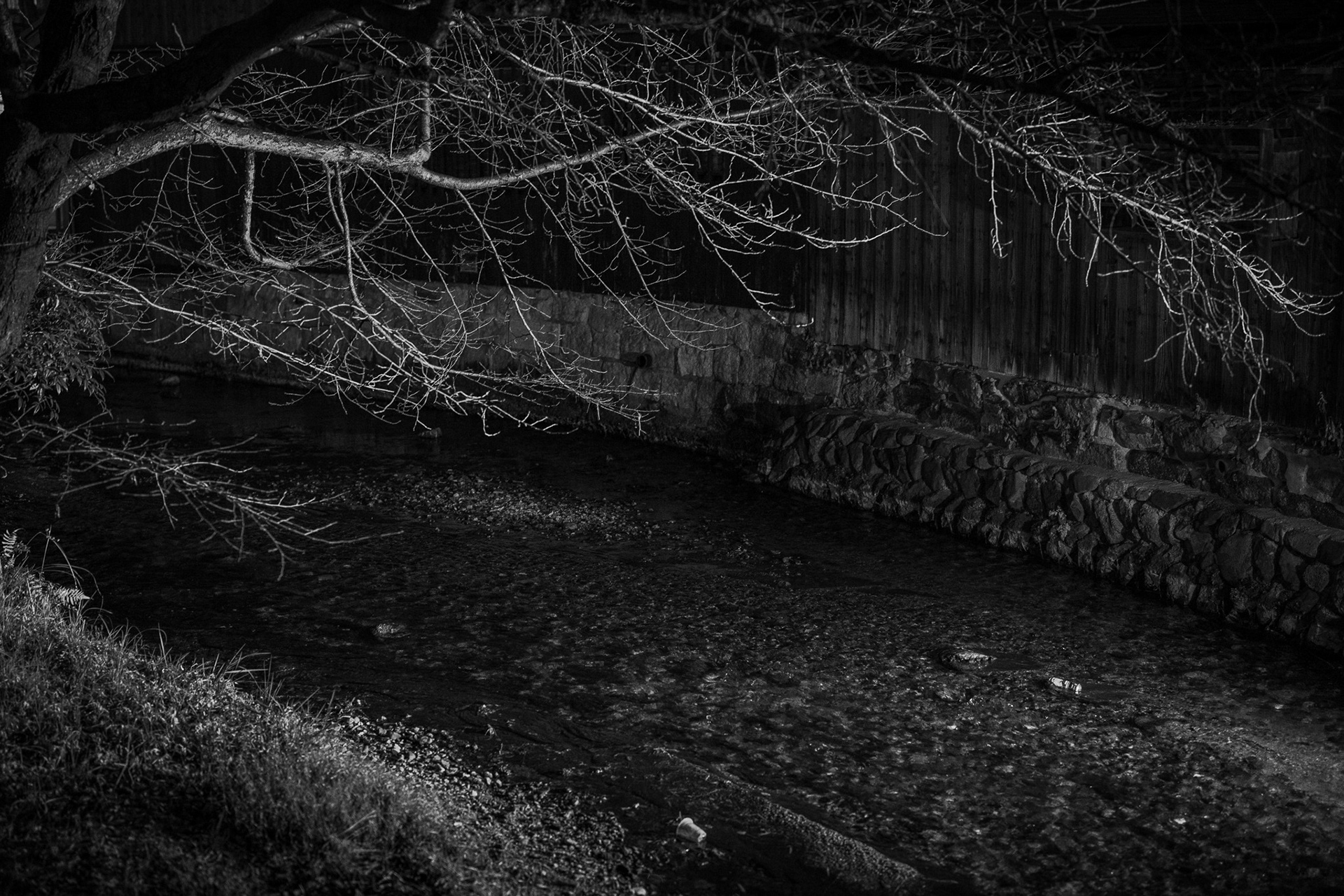 Kyoto, Japan · March 1, 2025 · Nikon Z 9 · Nikkor Z 50mm f/1.2 S · 1/100 sec f/1.8 ISO 2800