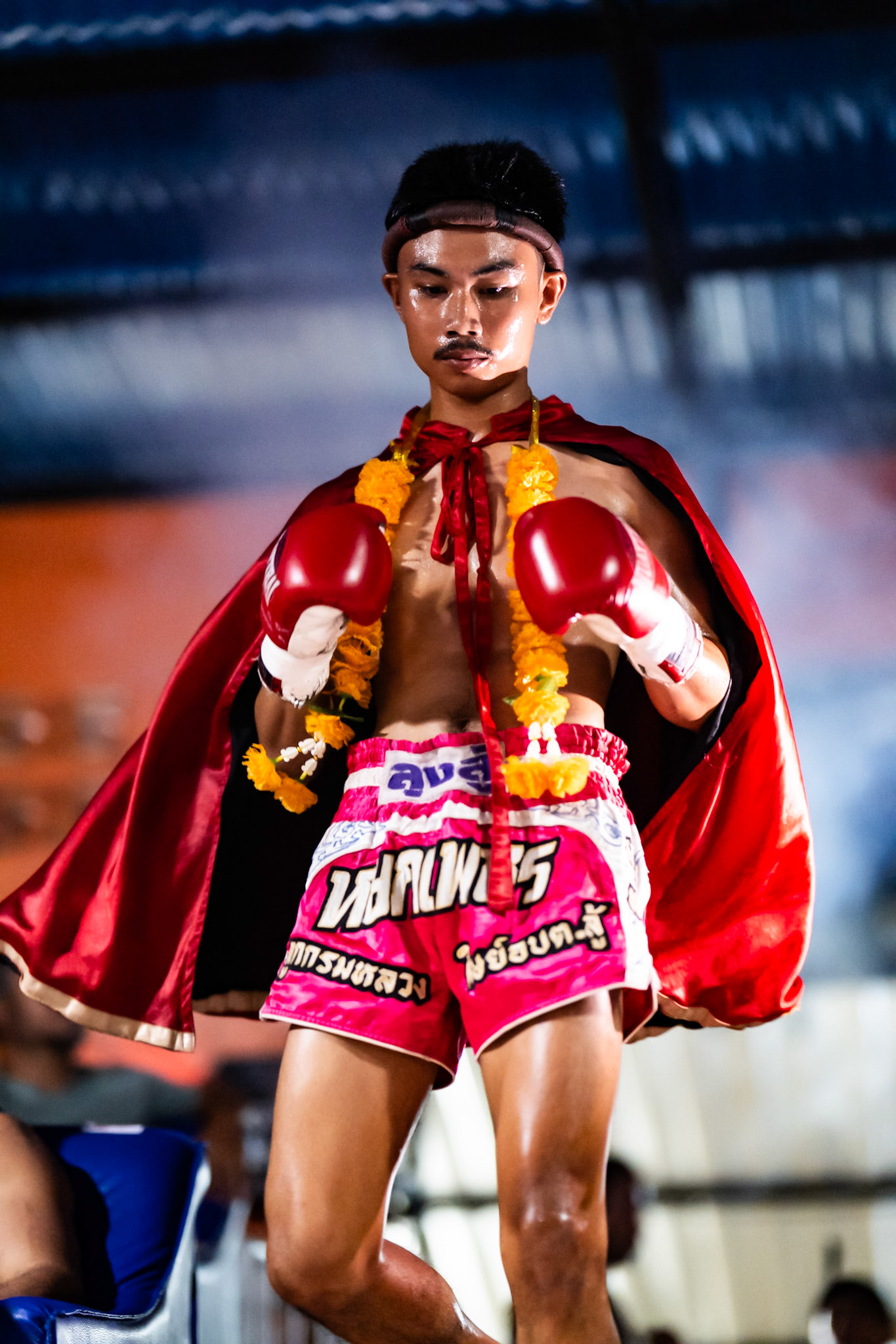 Koh Samui, Surat Thani, Thailand · February 16, 2024 · Nikon Z 9 · Nikkor Z 85mm f/1.2 S · 1/250 sec/ f/1.2 ISO 7200