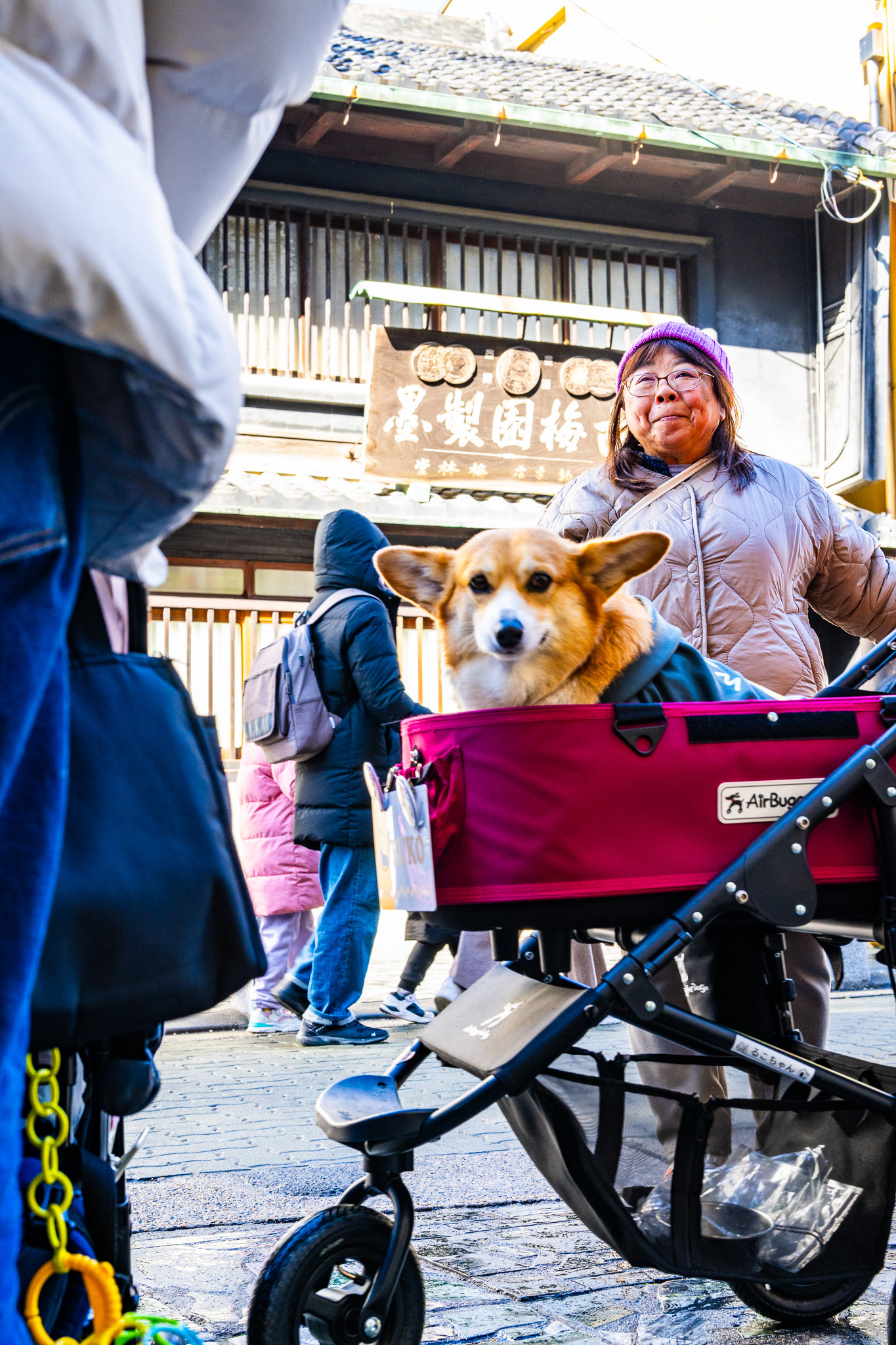 Nara, Japan · February 24, 2025 · Nikon Z 9 · Nikkor Z 50mm f/1.2 S · 1/100 sec f/9.0 ISO 560