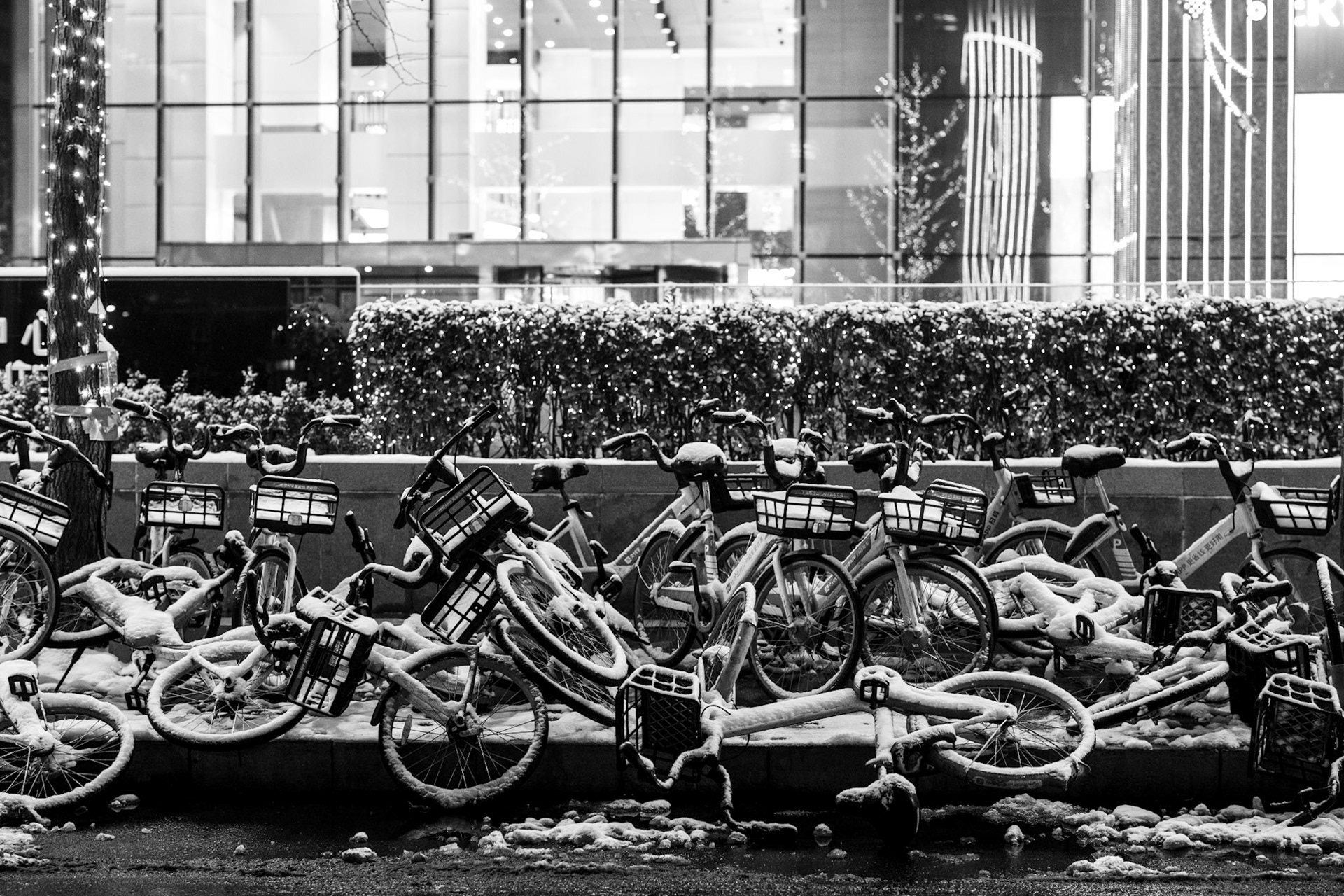 Beijing, China · December 13, 2023 · Nikon Z 9 · Nikkor Z 50 mm f/1.2 S · 1/160 sec f/2.8 ISO 4500