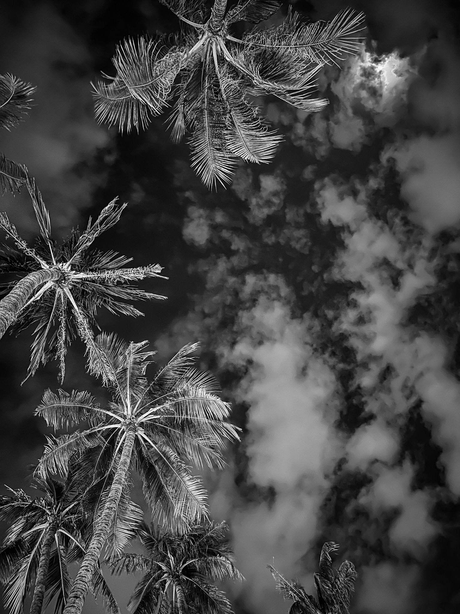 Bangkok, Thailand · August 16, 2024 · Apple iPhone 14 Pro Max · iPhone 14 Pro Max back triple camera 6.86mm f/1.8 · 1/9 sec f/1.8 ISO 1250