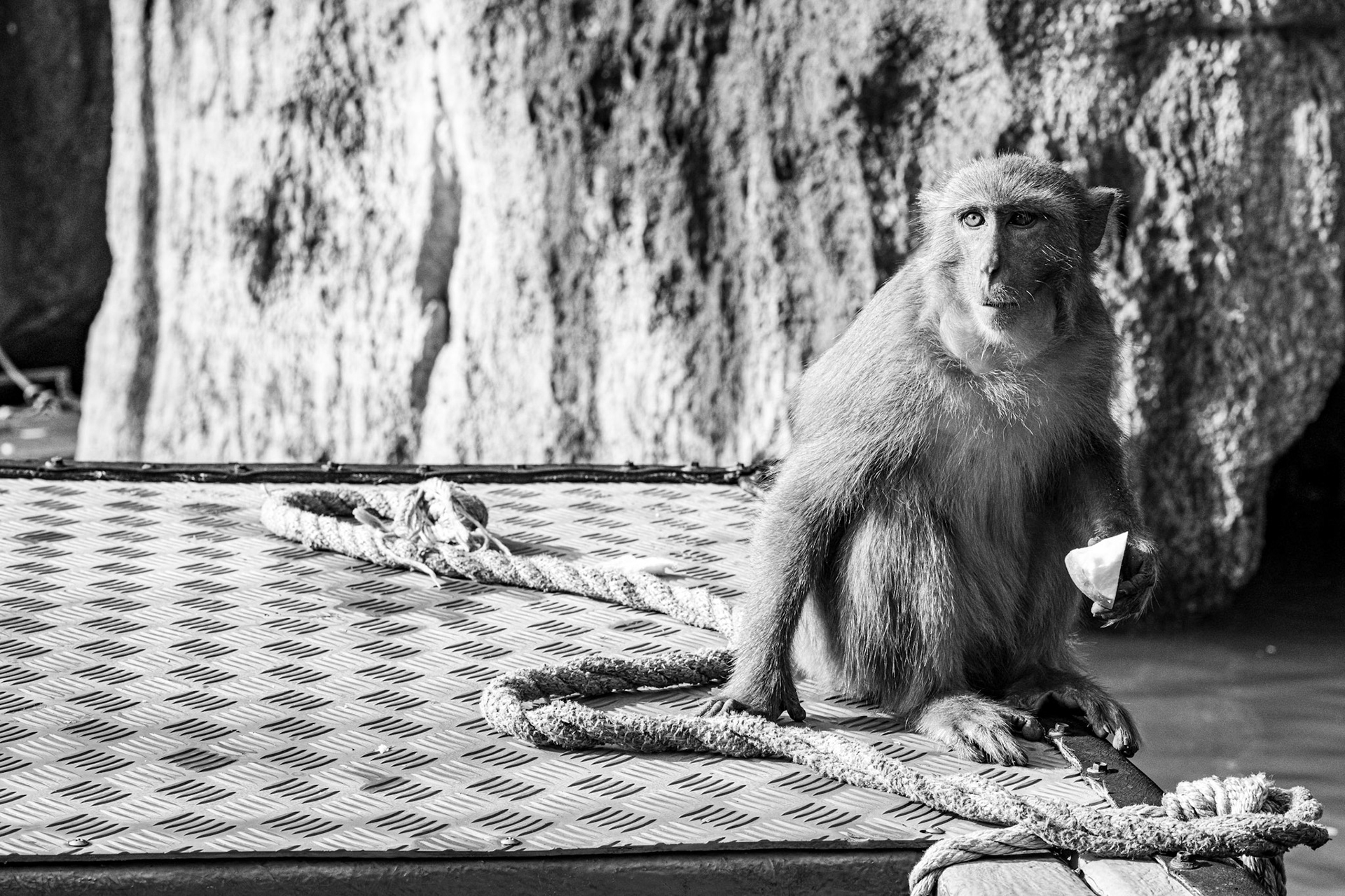 Ha Long Bay, Vietnam · October 30, 2022 · Nikon Z 9 · Nikkor Z 85 mm f/1.8 S · 1/500 sec f/11 ISO 640