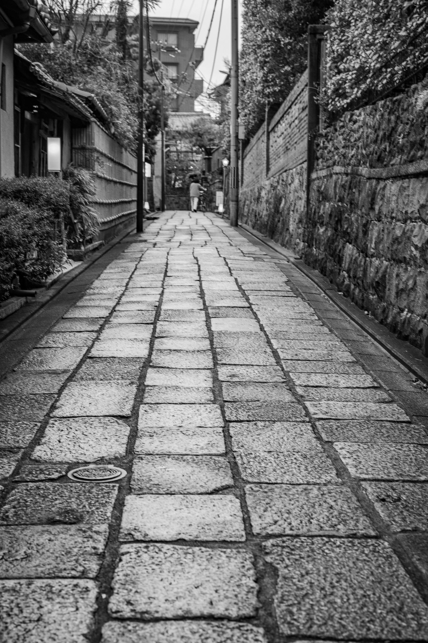 Kyoto, Japan · February 28, 2025 · Nikon Z 9 · Nikkor Z 50mm f/1.2 S · 1/100 sec f/5.6 ISO 560