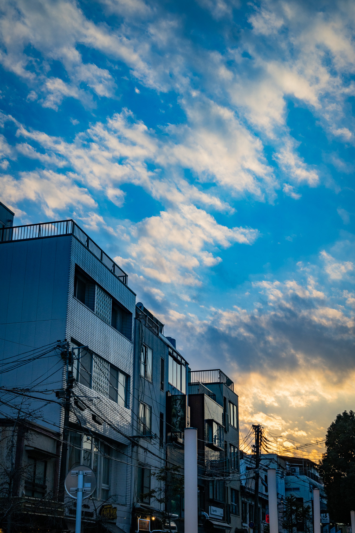 Kyoto, Japan · February 26, 2025 · Nikon Z 9 · Nikkor Z 50mm f/1.2 S · 1/200 sec f/16 ISO 360