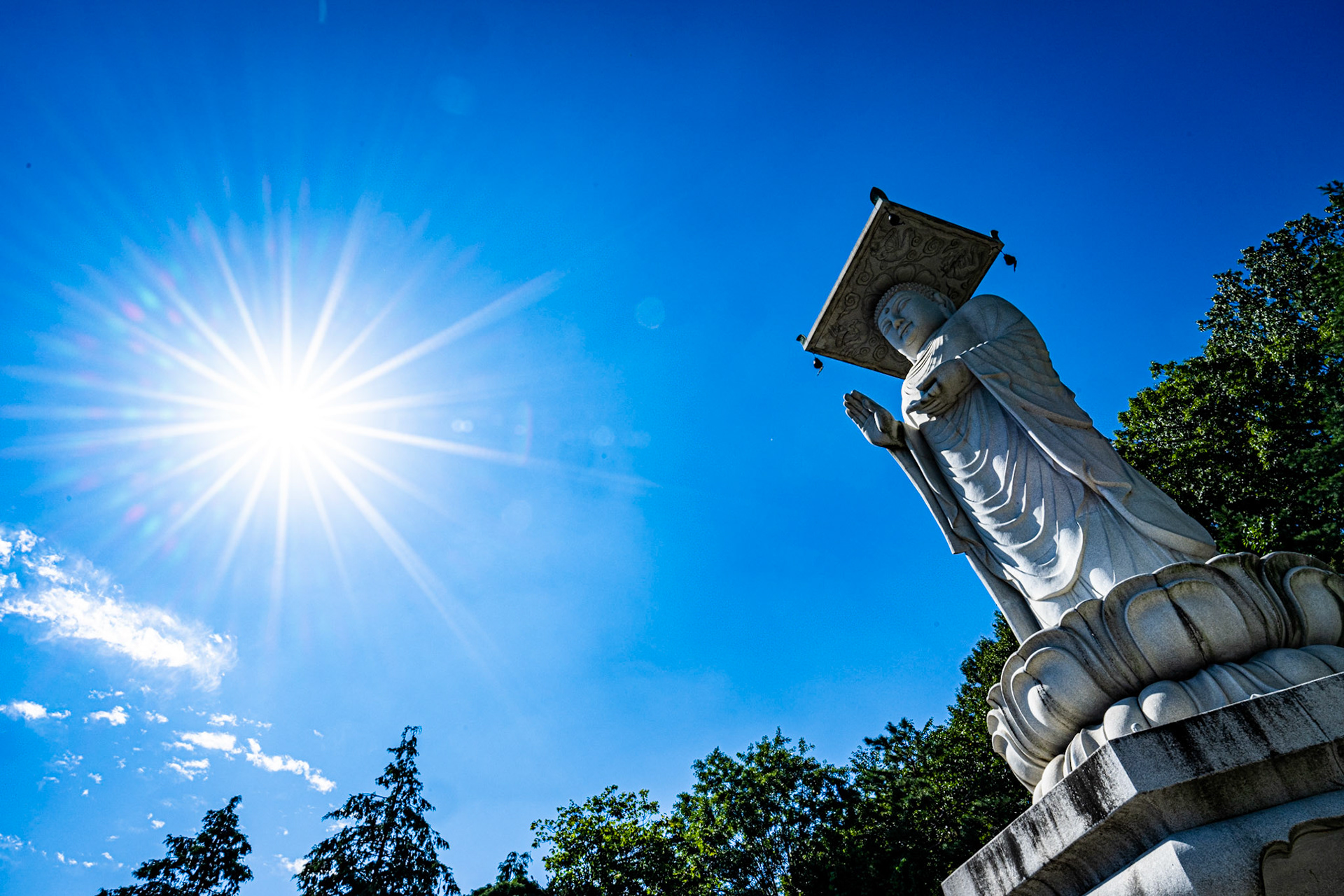 Bongeunsa Temple, Seoul, South Korea · September 25, 2022 · Nikon Z 9 · Nikkor Z 20 mm f/1.8 S · 1/200 sec f/16 ISO 140