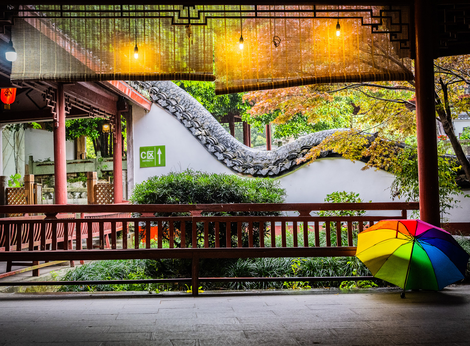 Hangzhou, Zhejiang, China · April 12, 2025 · Nikon Z 9 · Nikkor Z 50mm f/1.2 S · 1/125 sec f/6.3 ISO 1250