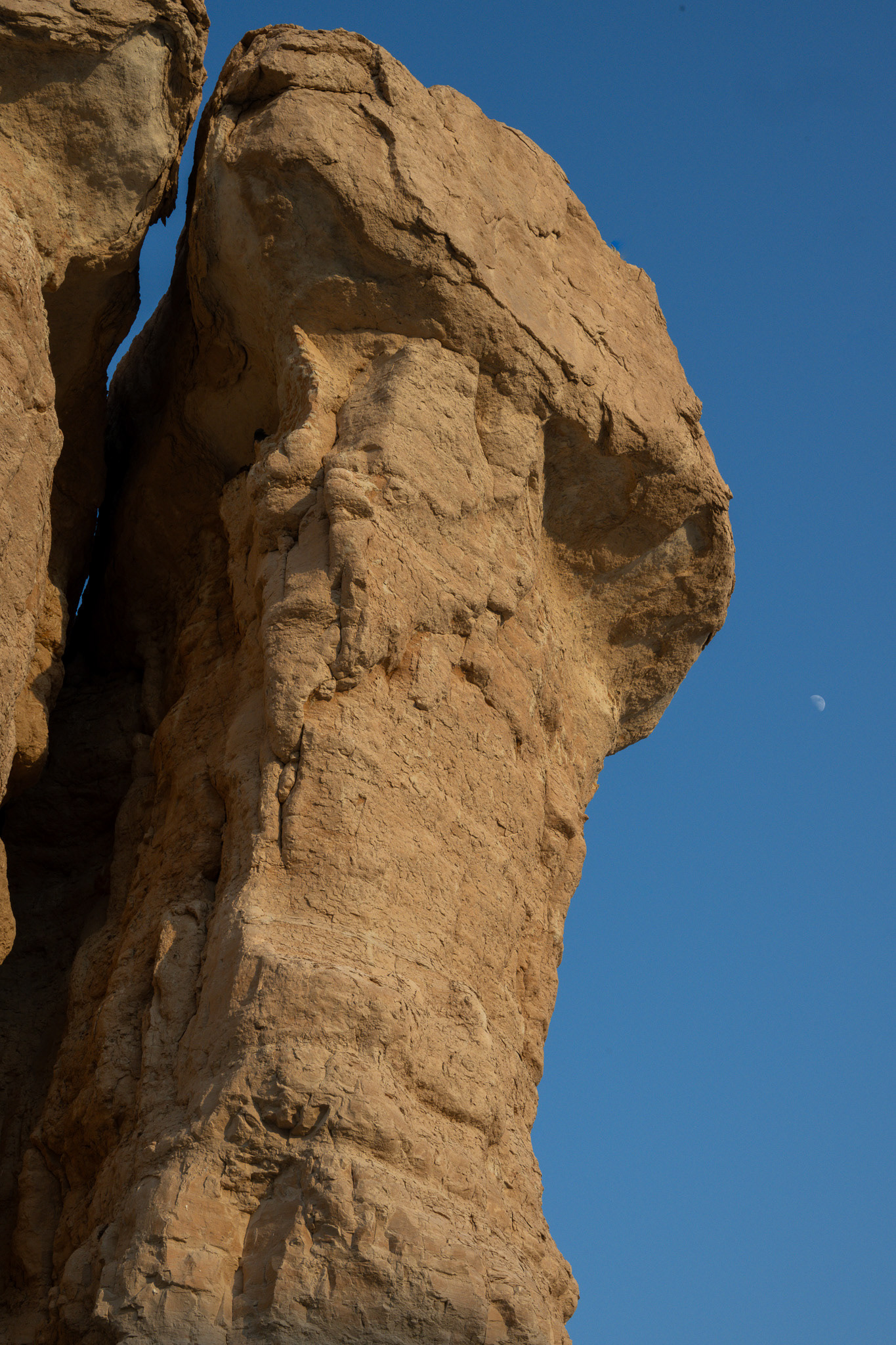 Al-Ahsa, Eastern Province, Saudi Arabia · November 28, 2025 · Nikon Z 9 · Nikkor Z 50mm f/1.2 S · 1/400 sec f/16 ISO 640
