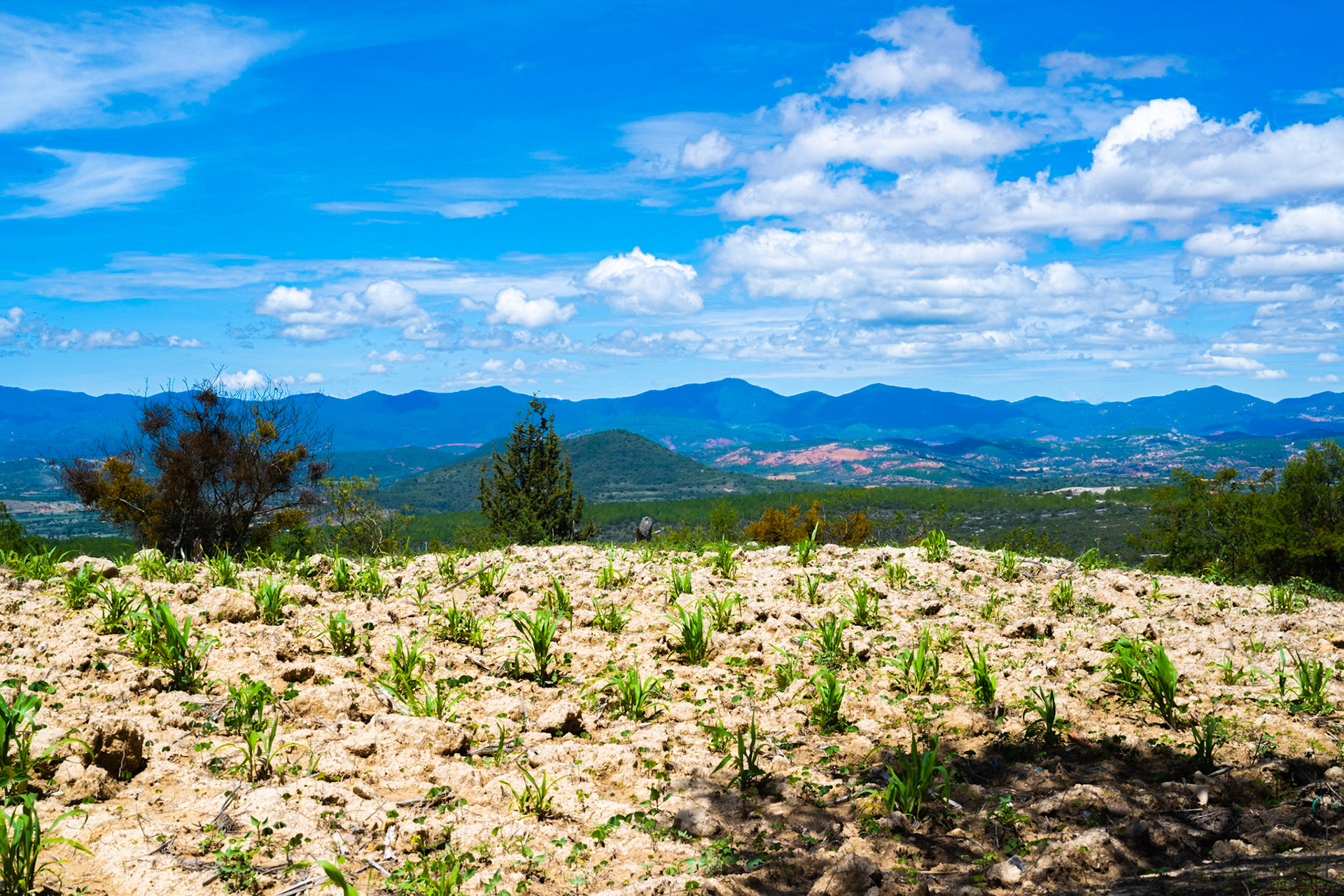 Asunción Nochixtlán, Oaxaca, Mexico · August 18, 2022 · Nikon Z 9 · Nikkor Z 50 mm f/1.8 S · 1/250 sec f/16 ISO 140