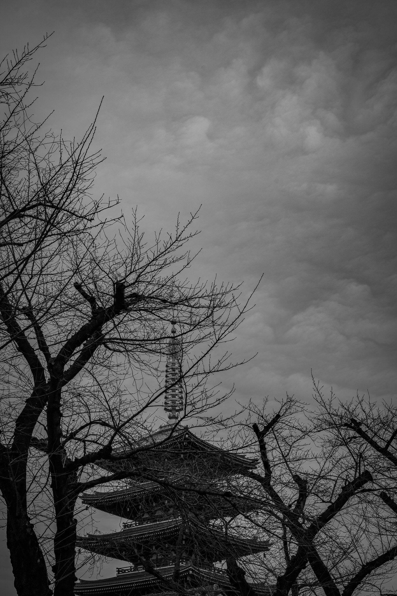 Tokyo, Japan · March 4, 2025 · Nikon Z 9 · Nikkor Z 50mm f/1.2 S · 1/250 sec f/9.0 ISO 100