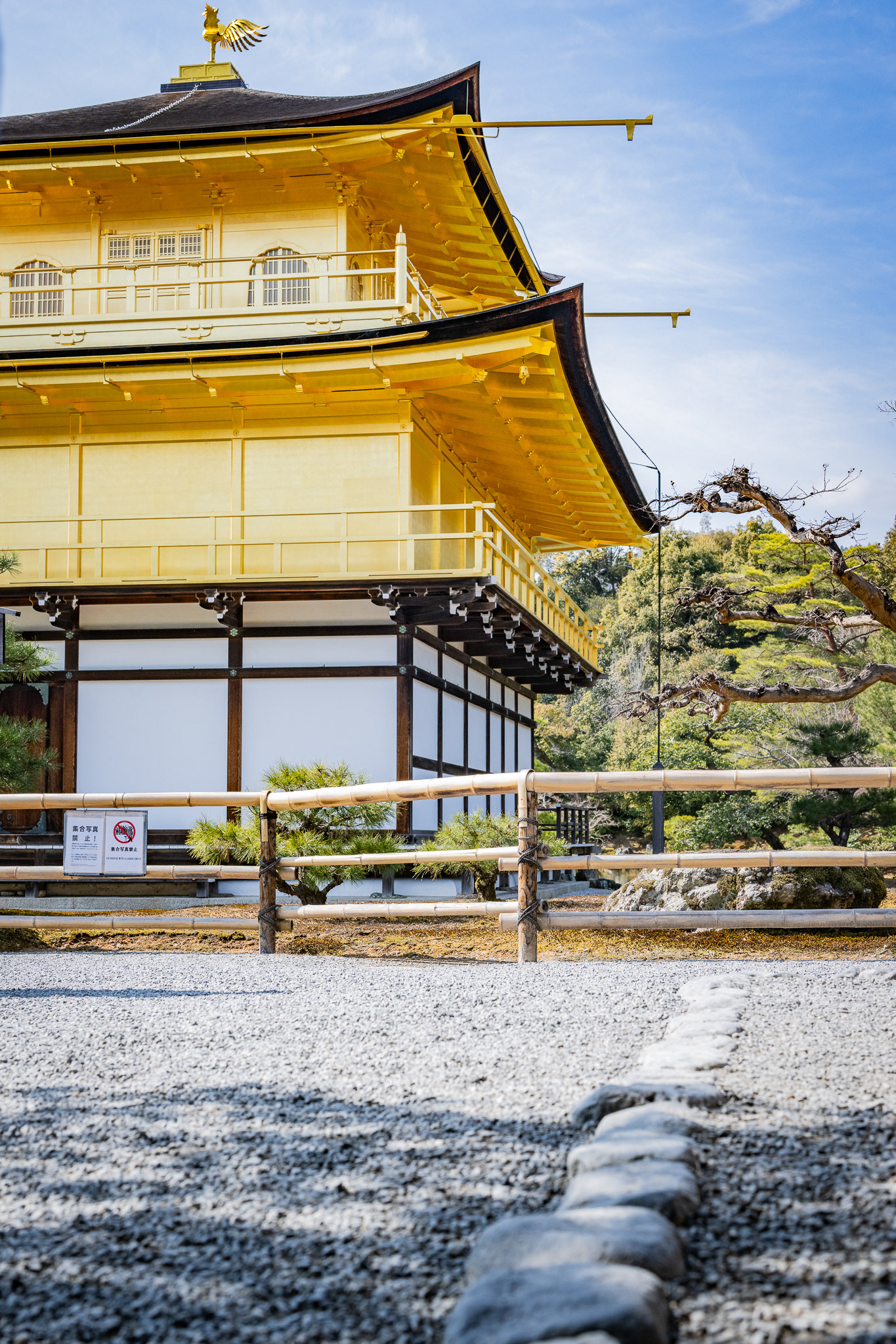 Kyoto, Japan · March 1, 2025 · Nikon Z 9 · Nikkor Z 50mm f/1.2 S · 1/640 sec f/7.1 ISO 320