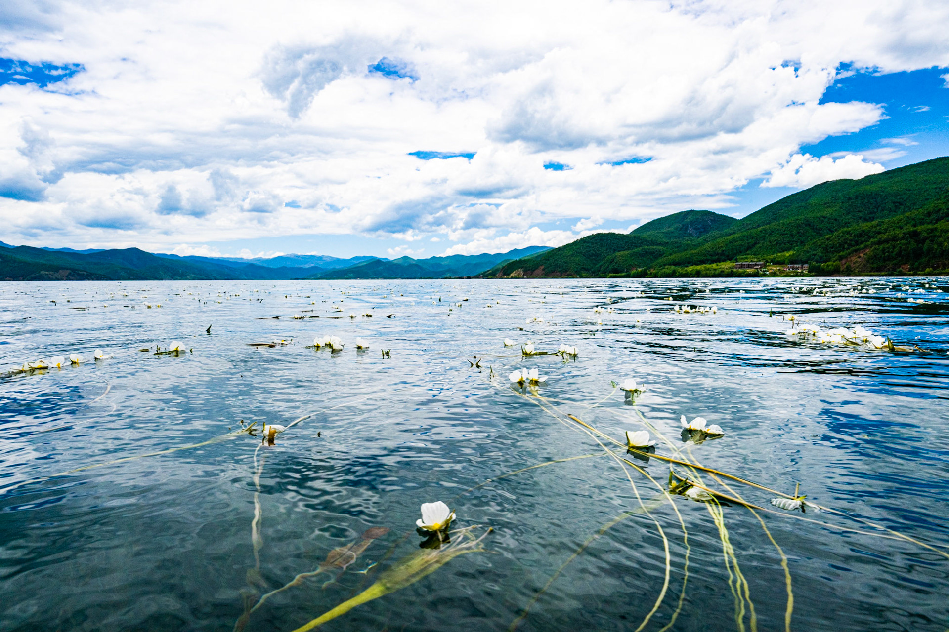 Lijiang, Yunnan Province, China · July 17, 2023 · Nikon Z 9 · Nikkor Z 20 mm f/1.8 S · 1/500 sec f/16 ISO 400