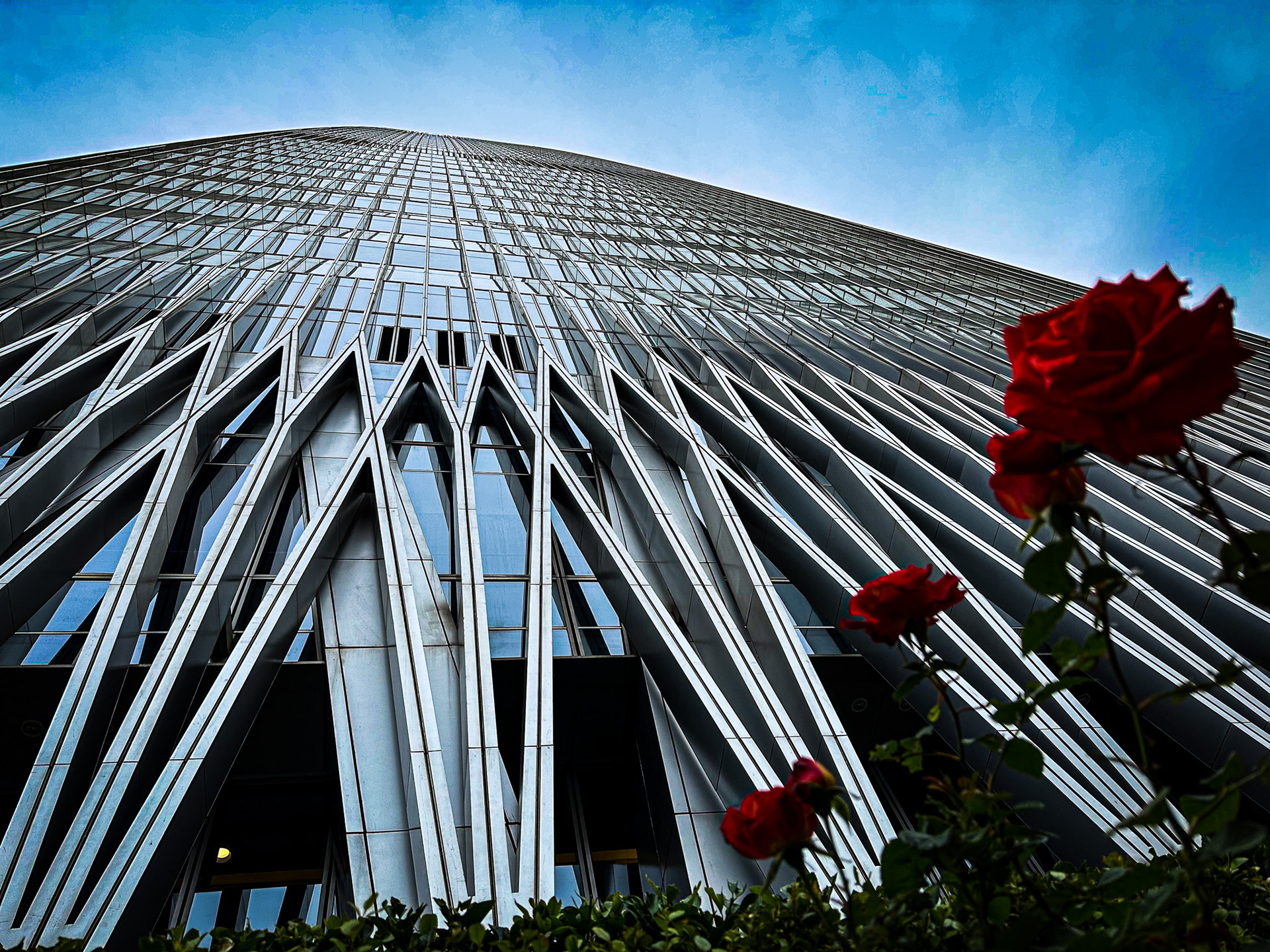 China World, Beijing, China · May 5, 2023 · Apple iPhone 14 Pro Max · iPhone 14 Pro Max back triple camera 6.86 mm f/1.78 · 1/1800 sec f/1.8 ISO 80