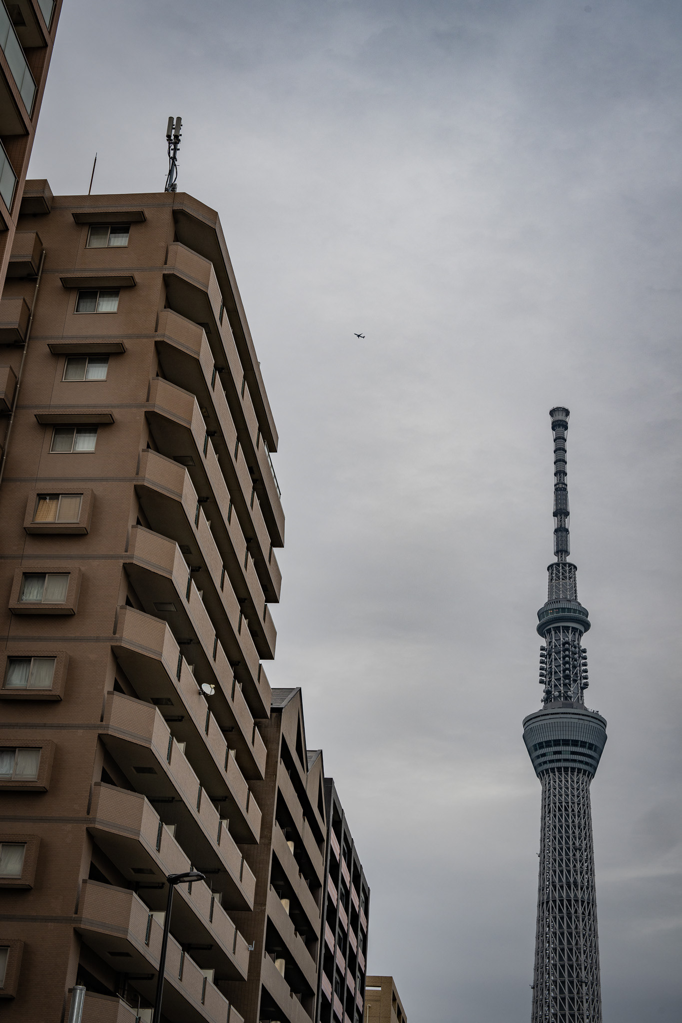 Tokyo, Japan · March 4, 2025 · Nikon Z 9 · Nikkor Z 50mm f/1.2 S · 1/250 sec f/10 ISO 125