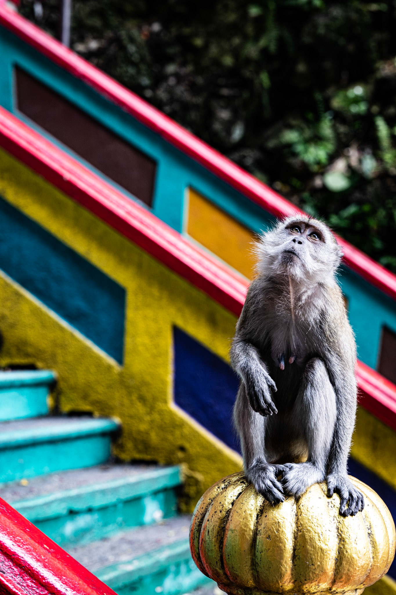 Batu Caves, Kuala Lumpur, Selangor, Malaysia · July 14, 2022 · Nikon Z 9 · Nikkor Z 85 mm f/1.8 S · 1/125 sec f/6.3 ISO 400